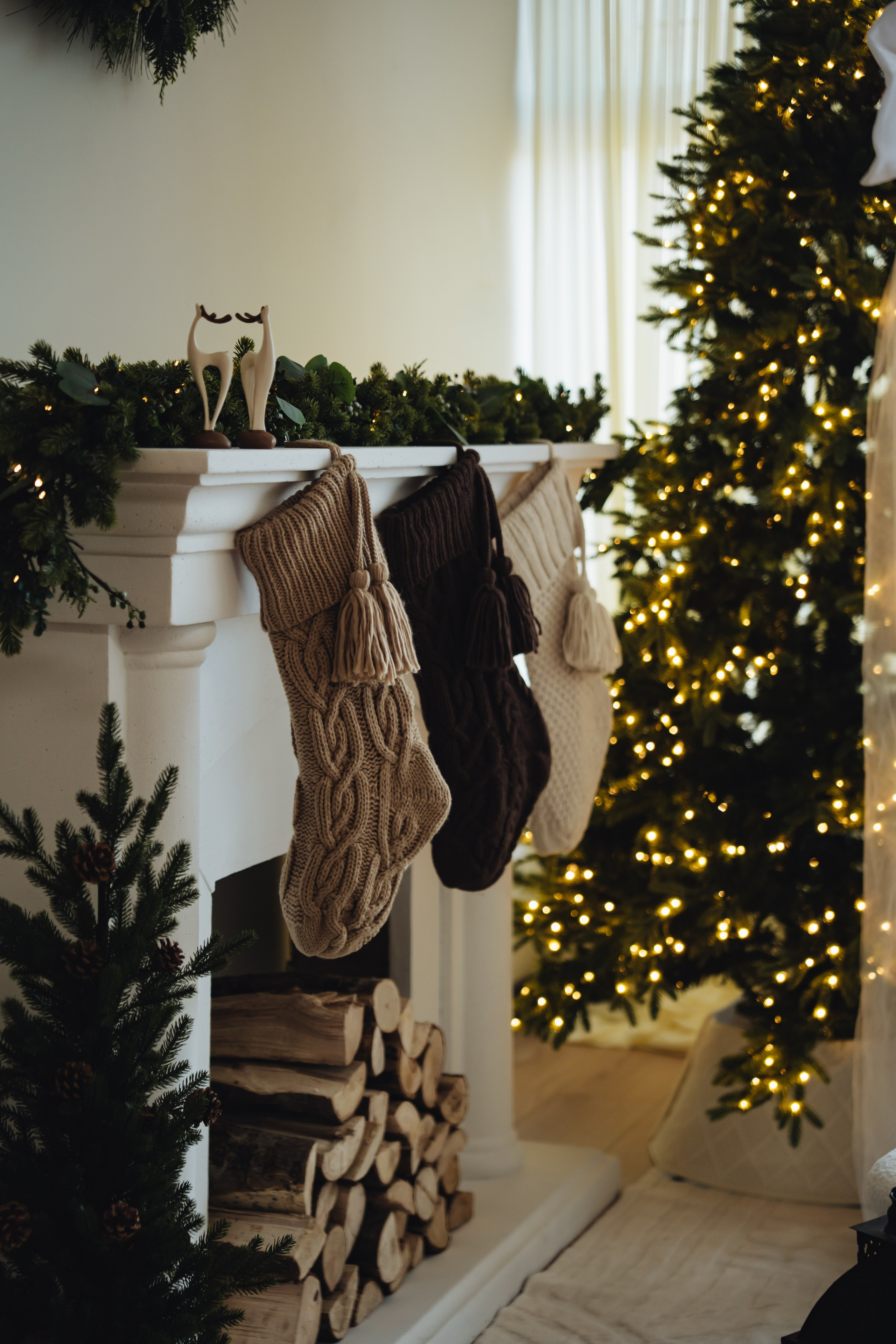 CHRISTMAS MINI SESSION. Vancouver Photographer | Catherine Vashchenko