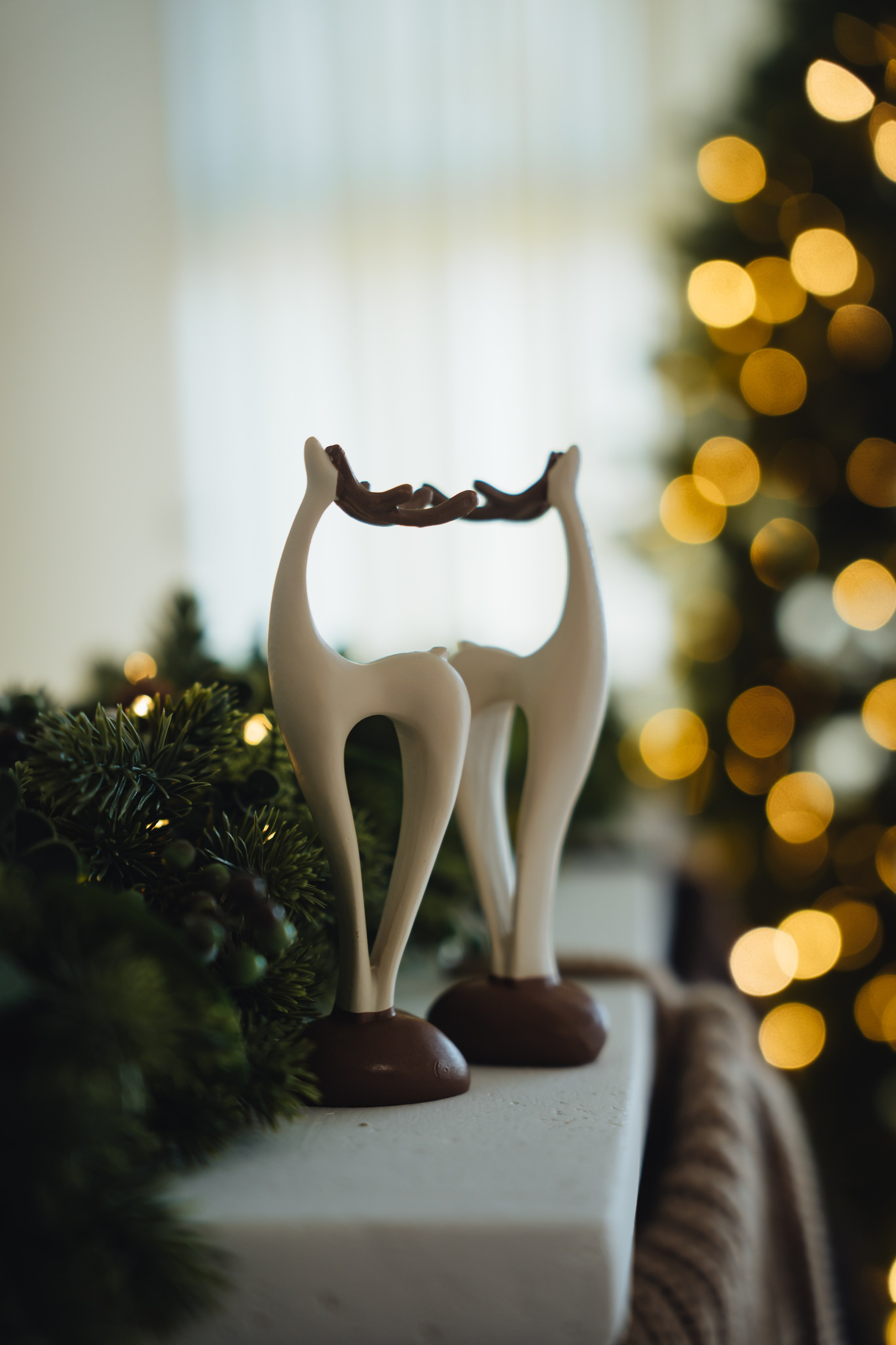 CHRISTMAS MINI SESSION. Vancouver Photographer | Catherine Vashchenko