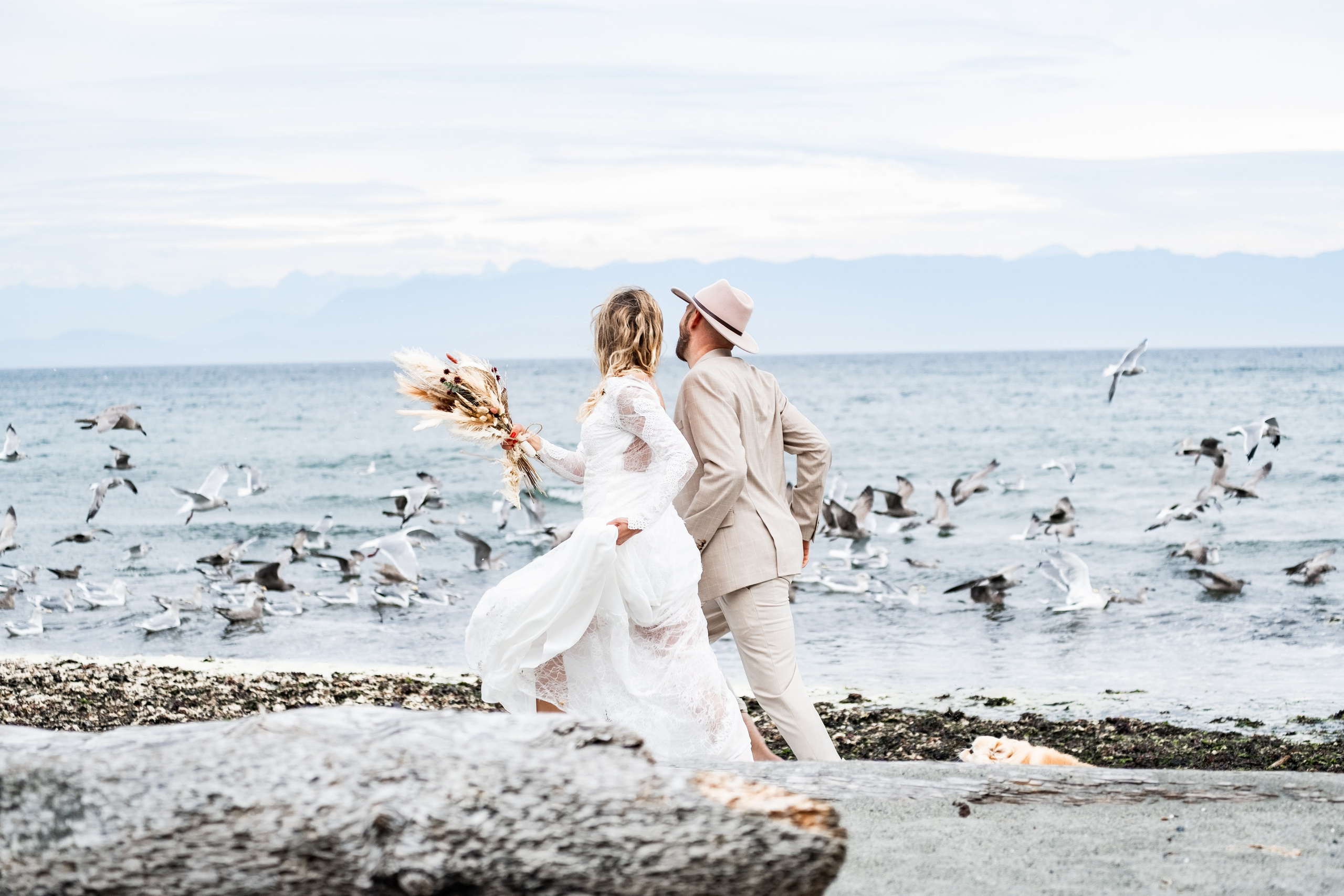 storytelling wide shot of newlyweds in nature
