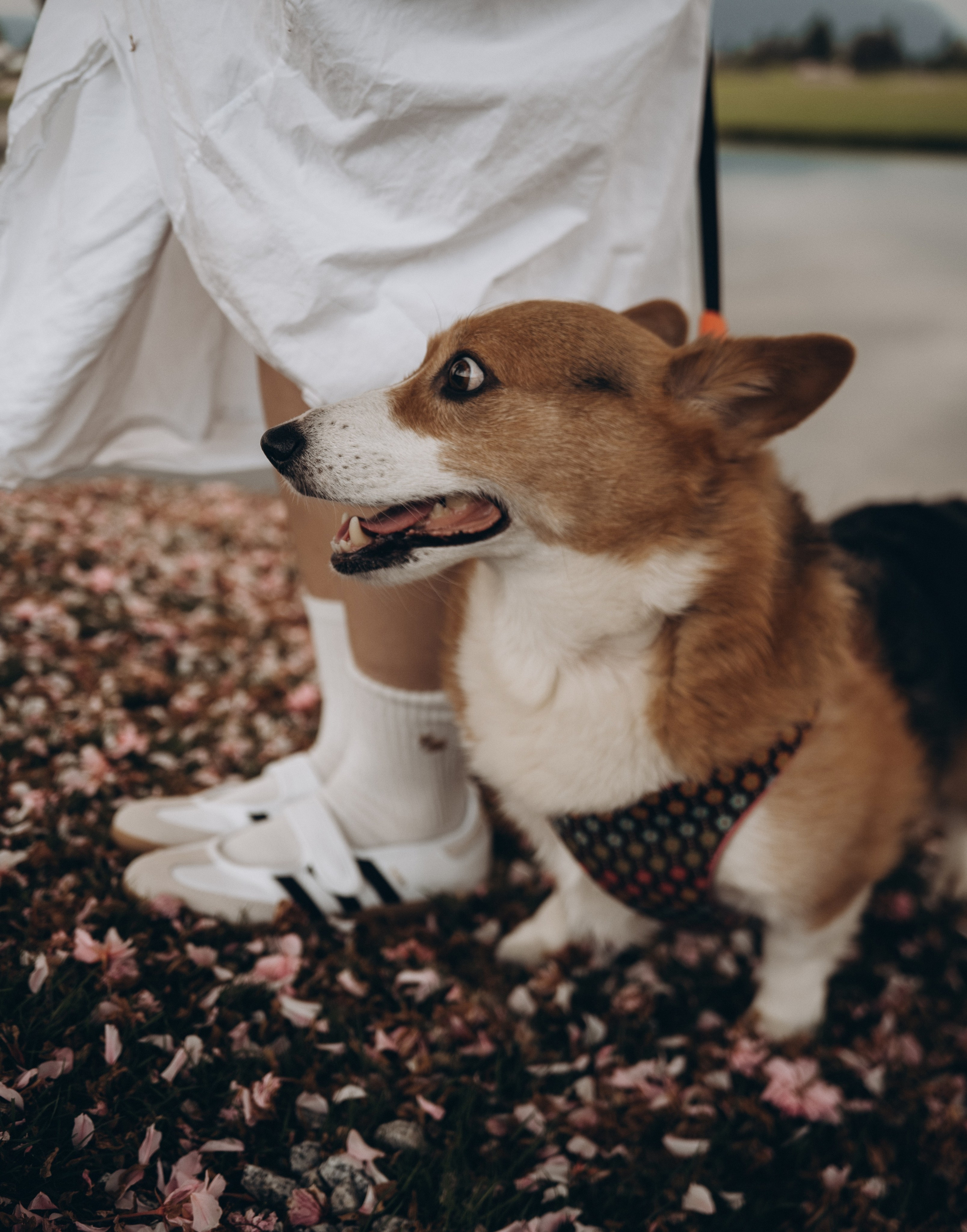 Vancouver Photographer | Catherine Vashchenko
