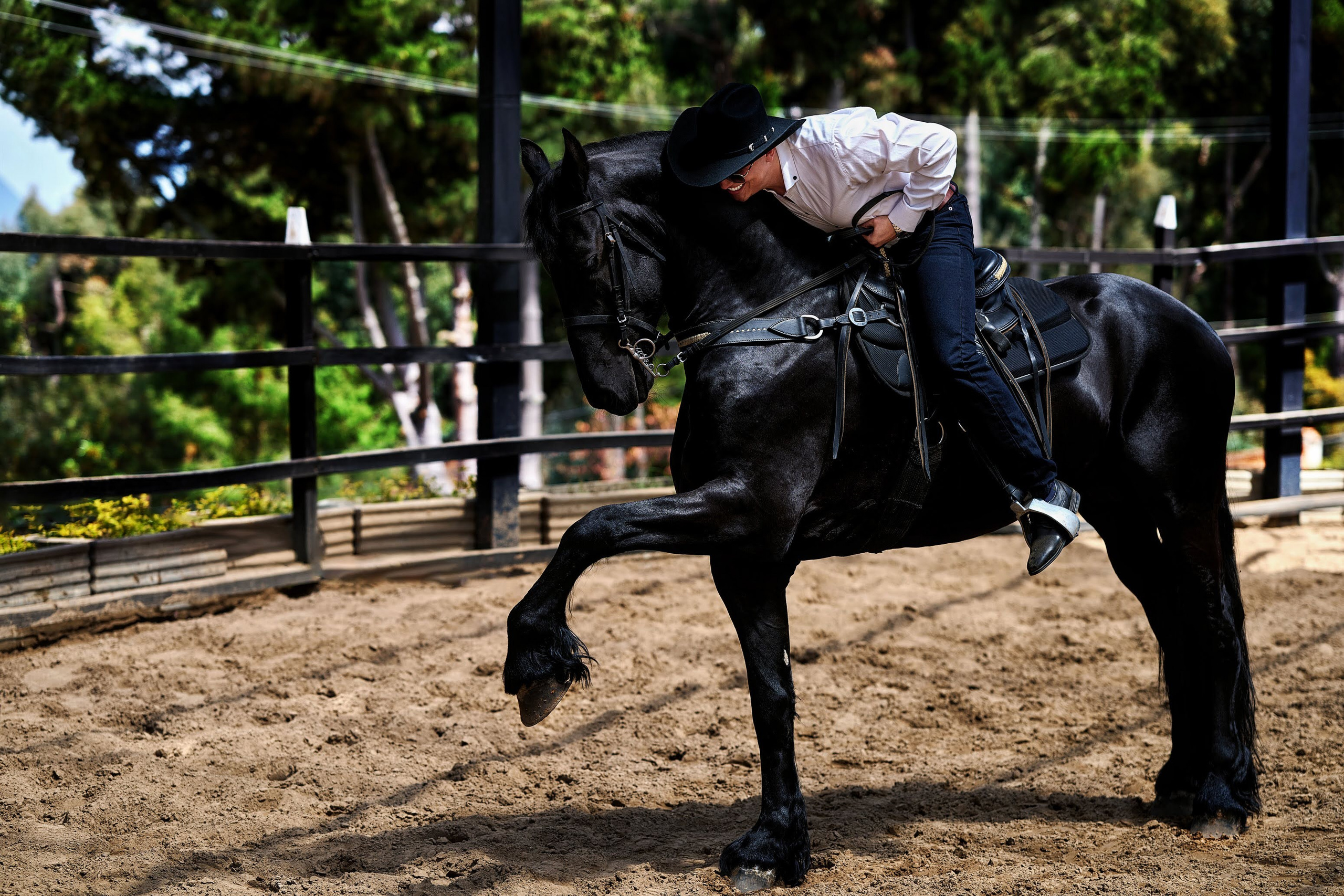 Fotos con caballos para Quiceaños. Wedding Photography & Videography by ZZ Hendrick | Capturing Your Love Story in Colombia & USA