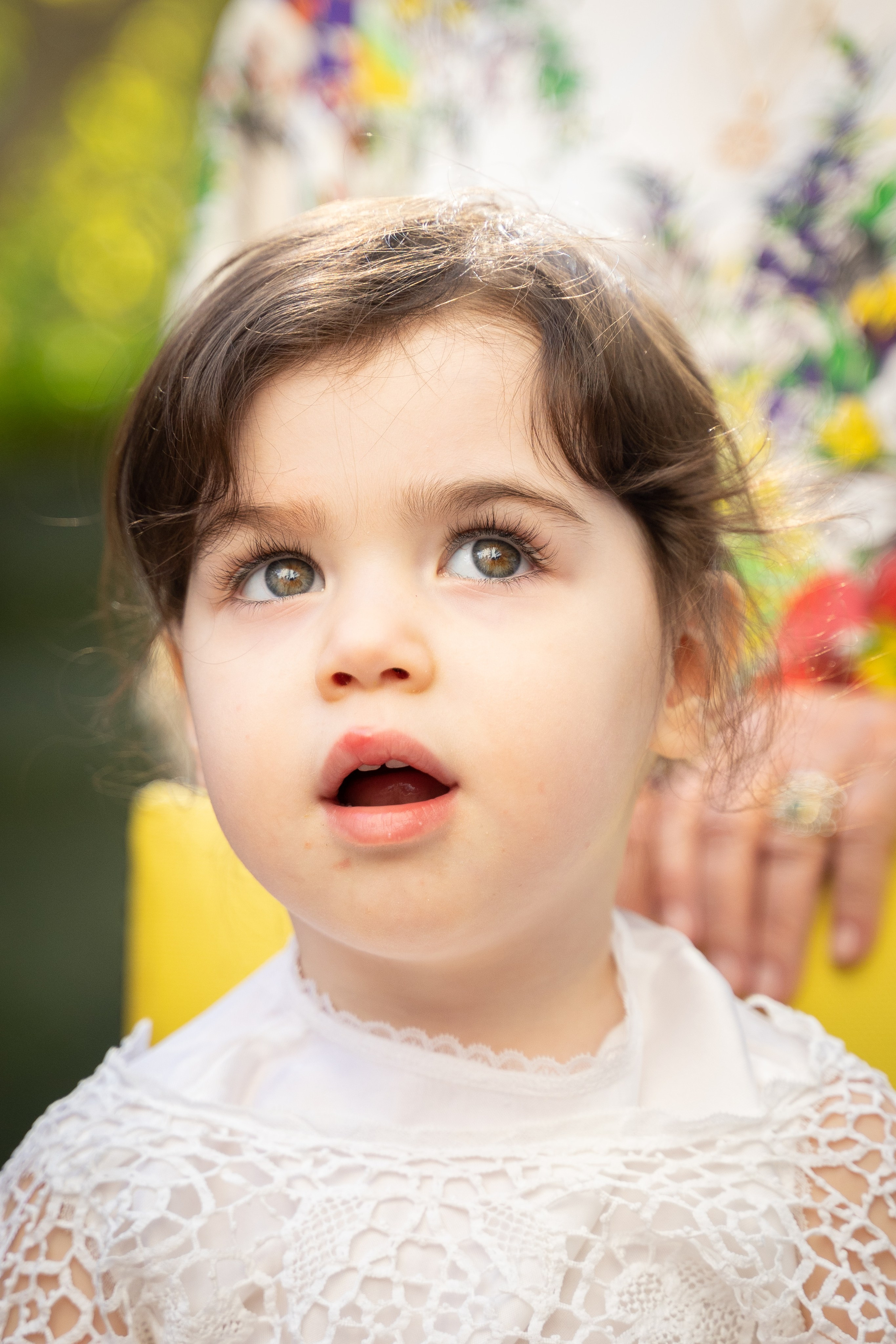 Best Ontario Family Photographer