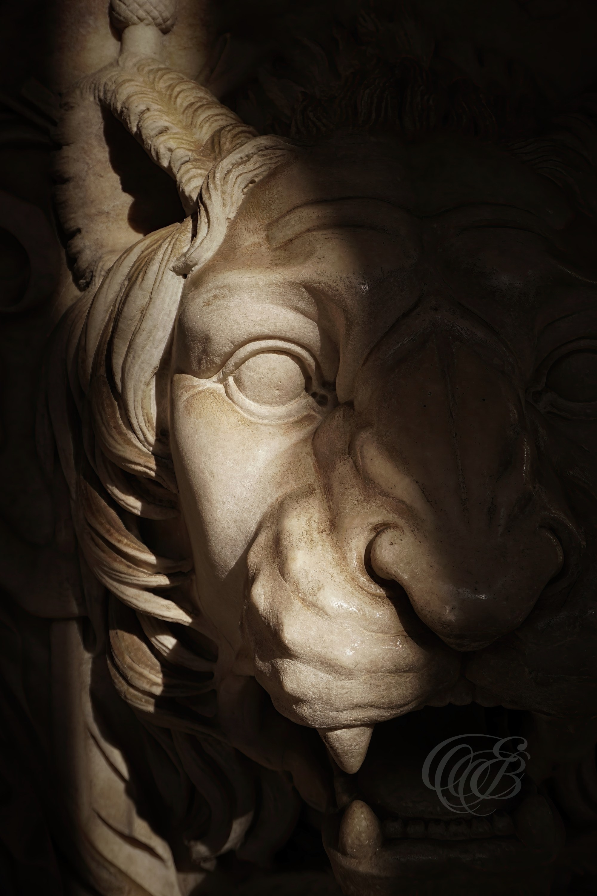 Rome Italy — Vatican Museum marble chimera lion — Eduardo Bartoli Fine Art Photography — Photograph of a marble lion chimera sculpture in the Vatican Museums, Rome, Italy — photography by Eduardo Bartoli.
