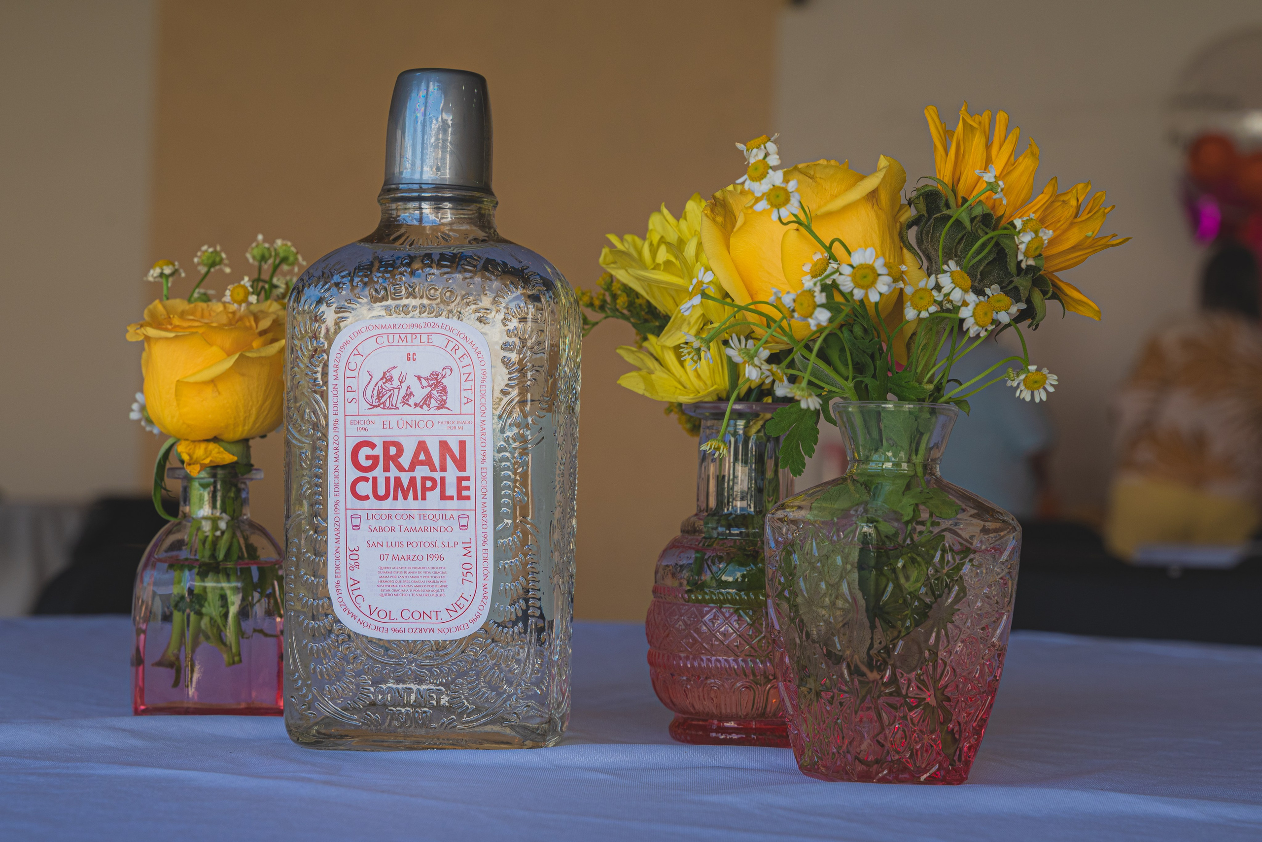 Fotografía para Eventos Privados en San Luis Potosí