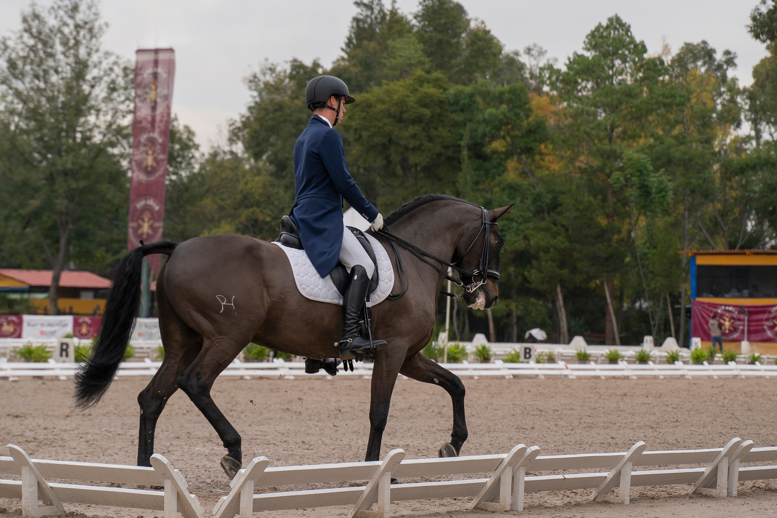 Vacation photoshoot in Mexico City. Capture your trip with a professional photographer. Horse riding dressage doma clasica show jumping Tour. Ekaterina Frolova photography