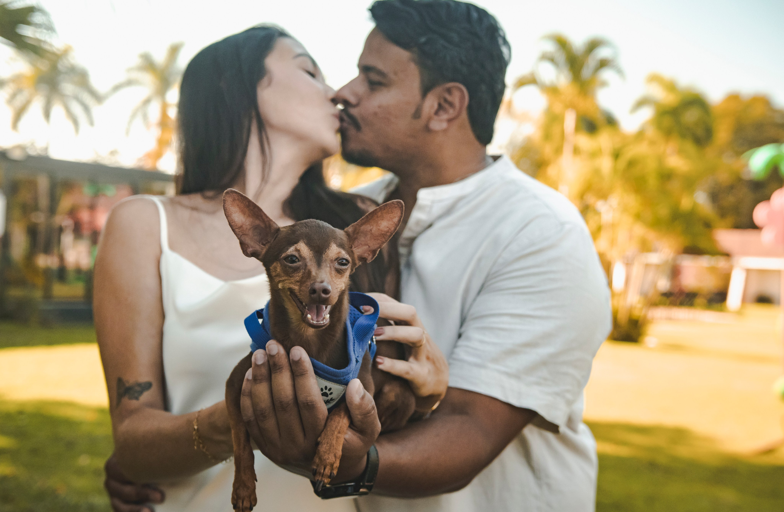 RAFAELA E RICHARDSON — PRÉ WEDDING. Fotógrafos de casamento. empresas, família em Catanduva SP e região, Casal Gonçales