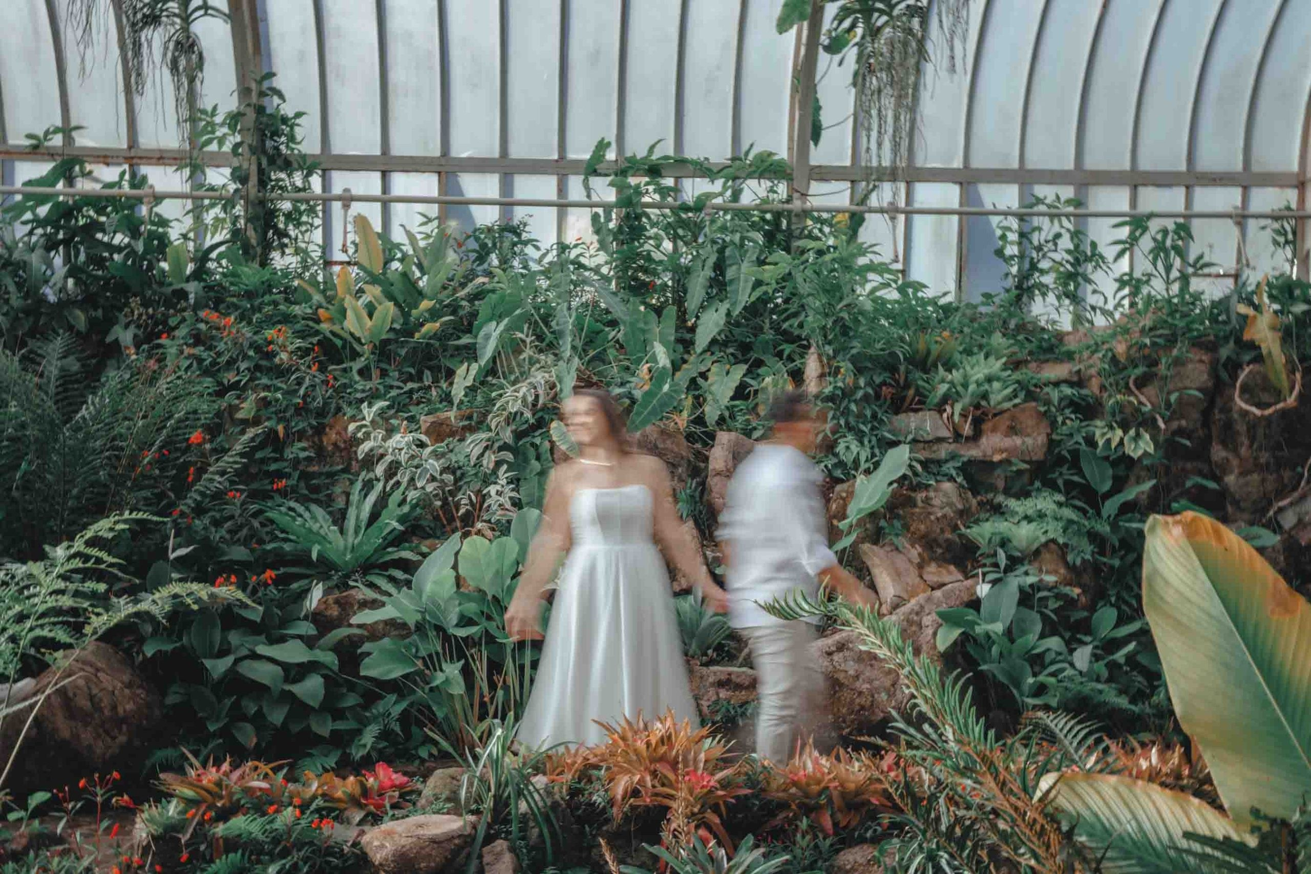 Pre-wedding
