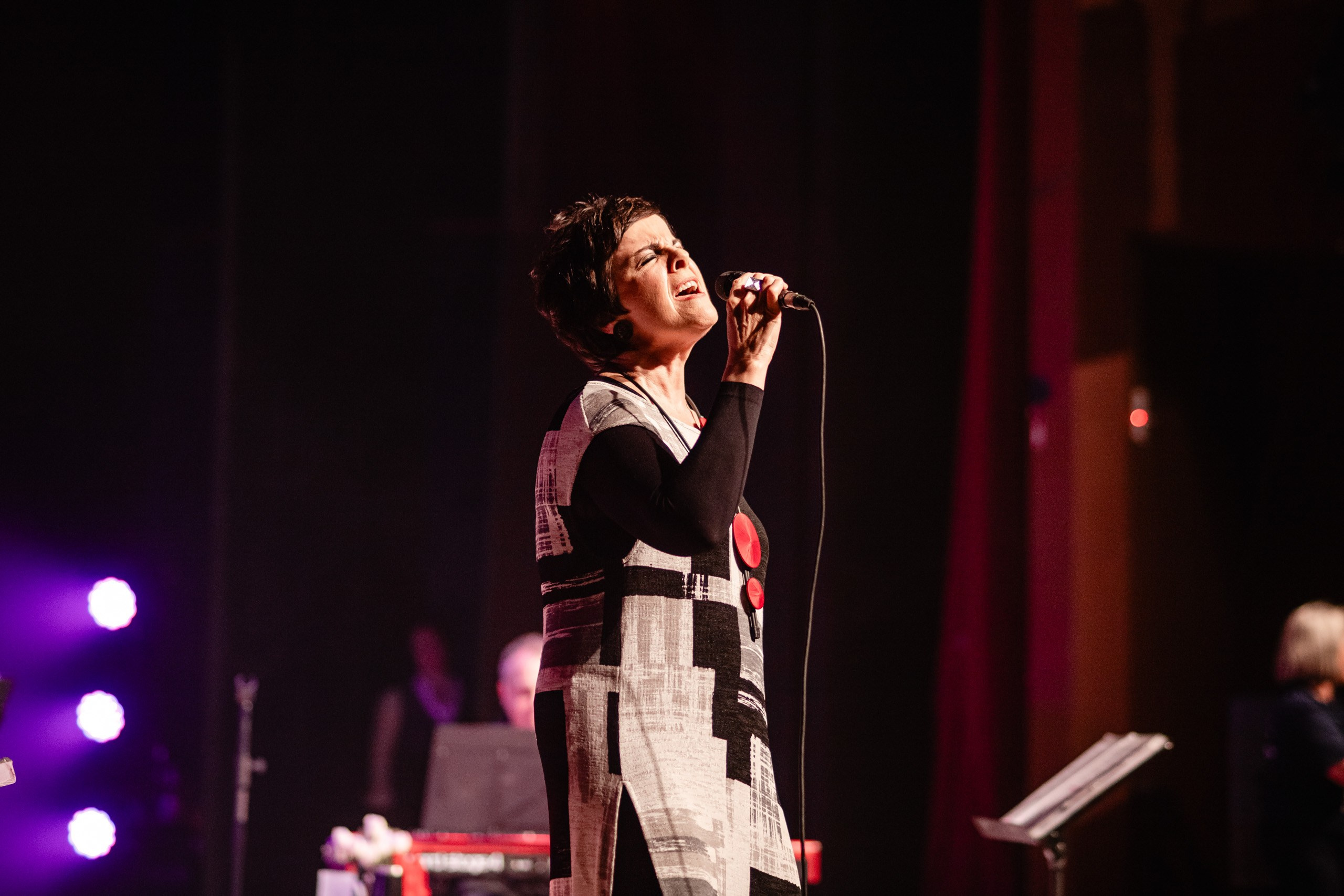 Fotografia de show da cantora Leila Pinheiro no Teatro Municipal de Itajaí