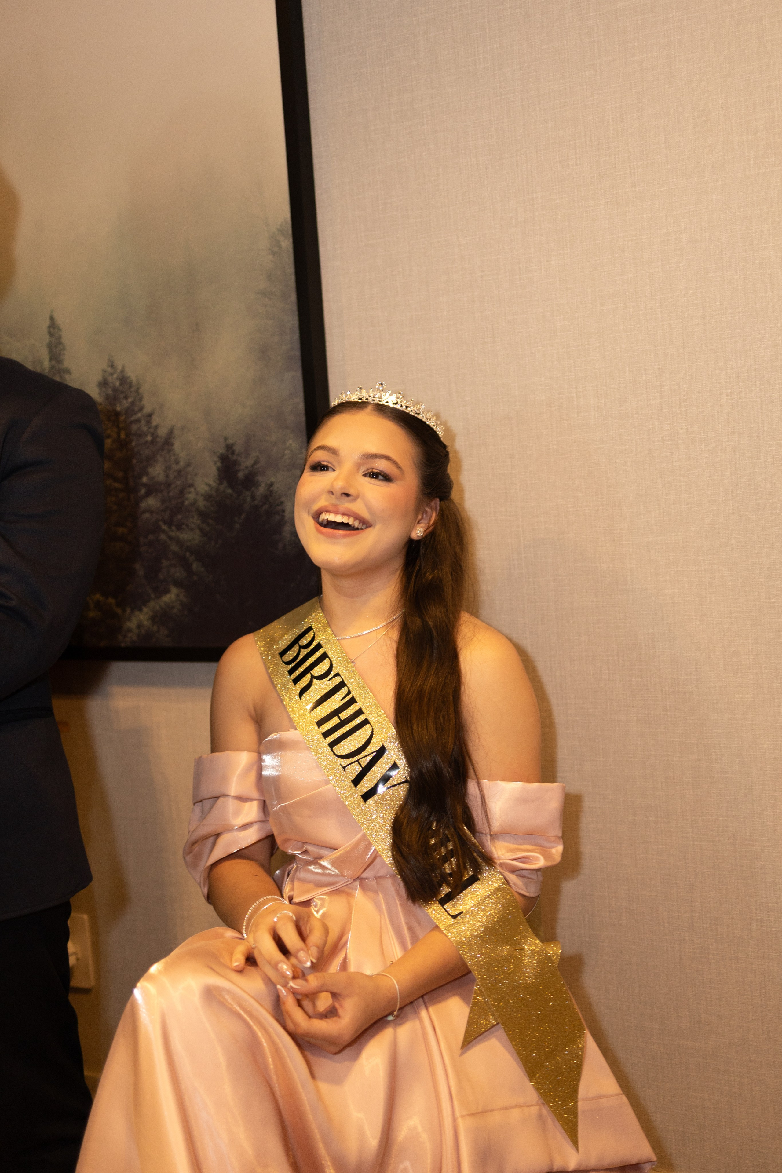 Festa 15 Anos. Wedding photographer Davi Fernandes