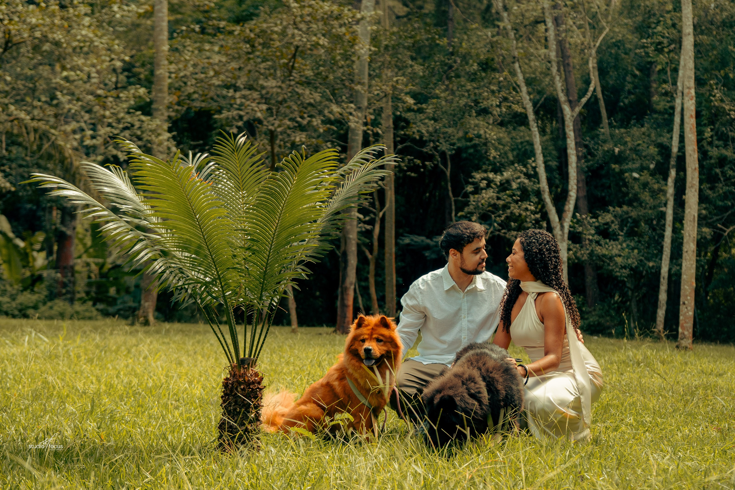 Pré-Wedding com pets. Studio Focus