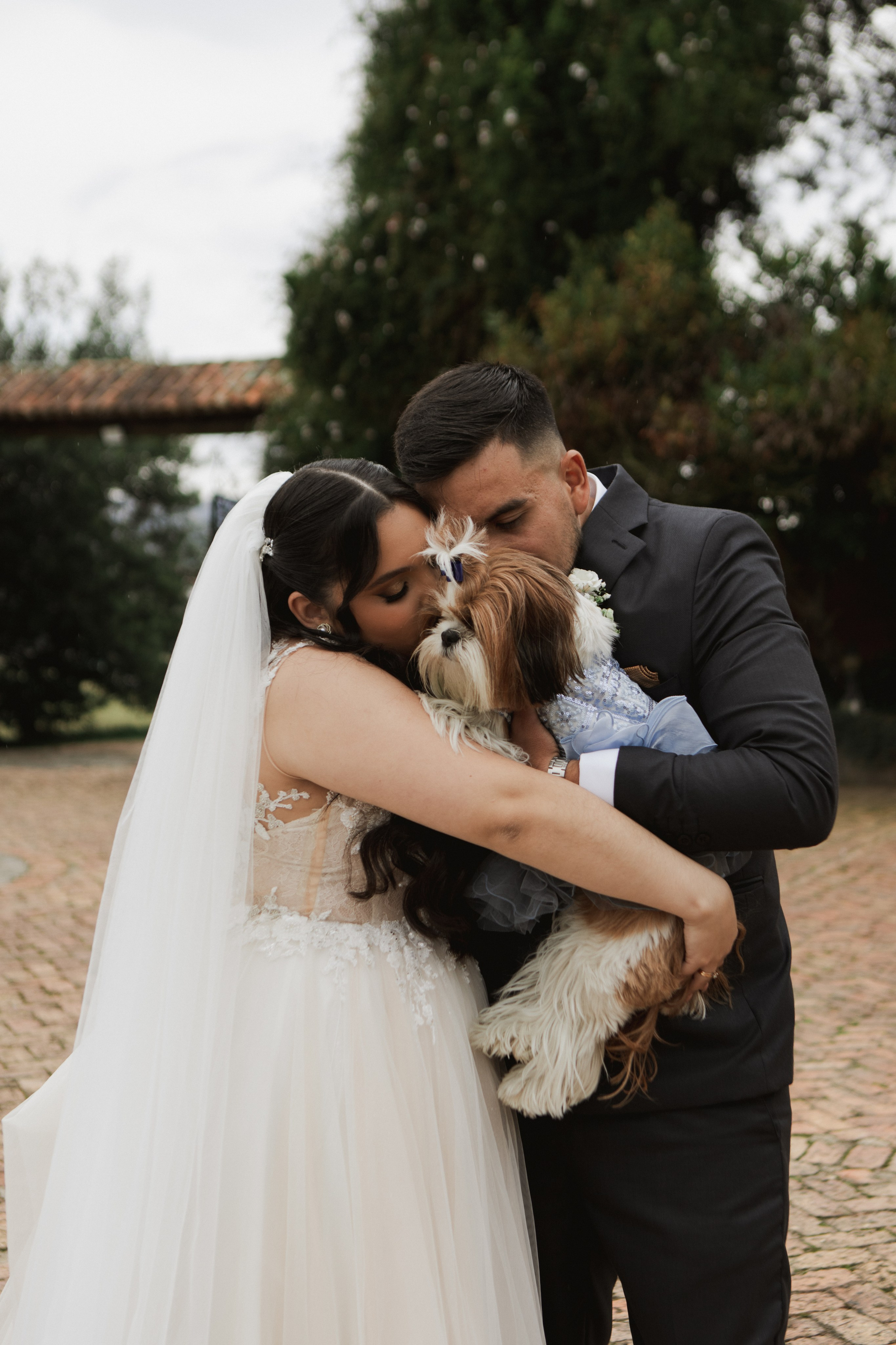 BODAS. FOCALMAGIC