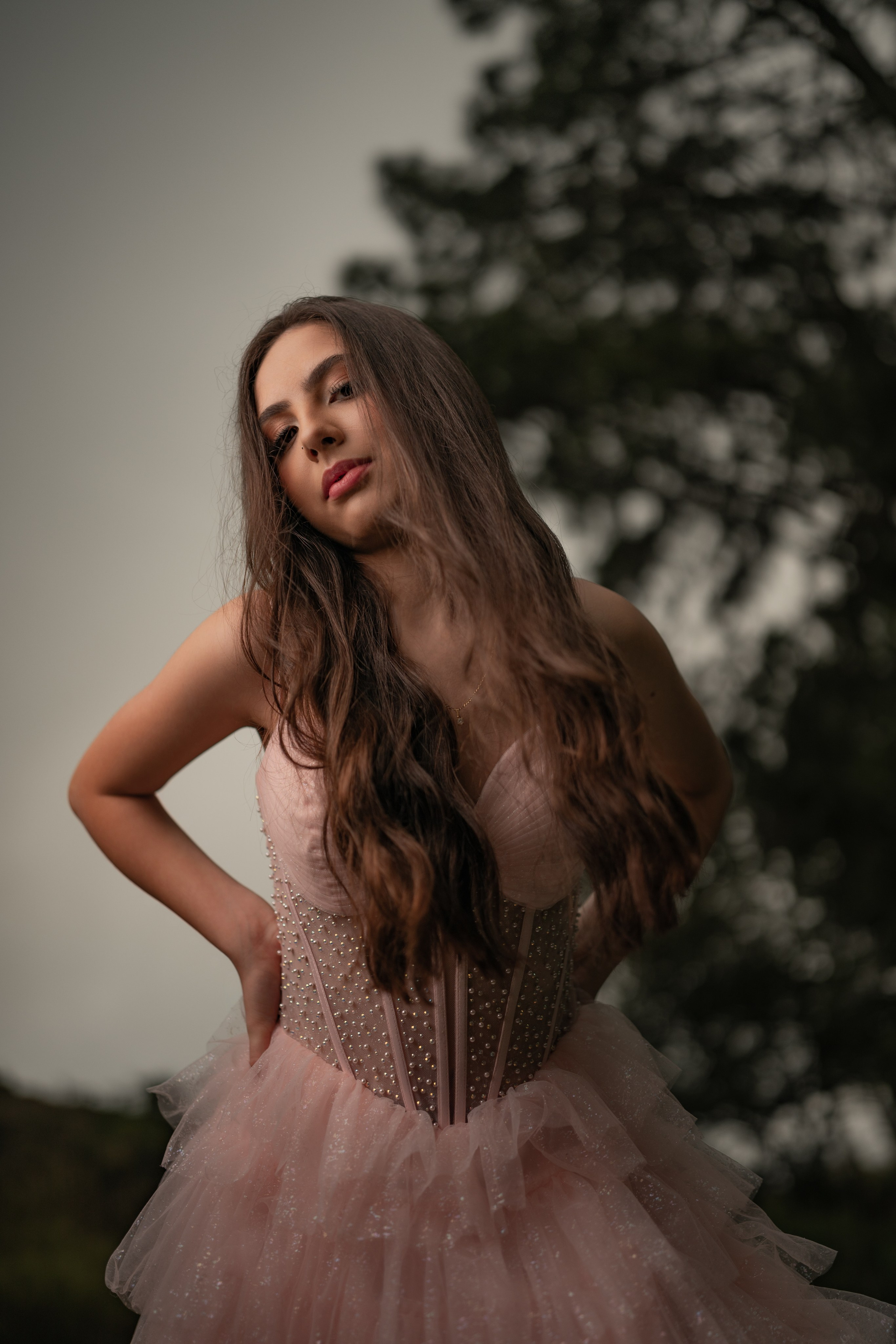 Sophia.15 Anos.Sherwood. Fotógrafo de Casamento, grávida, Retrato, Corporativo