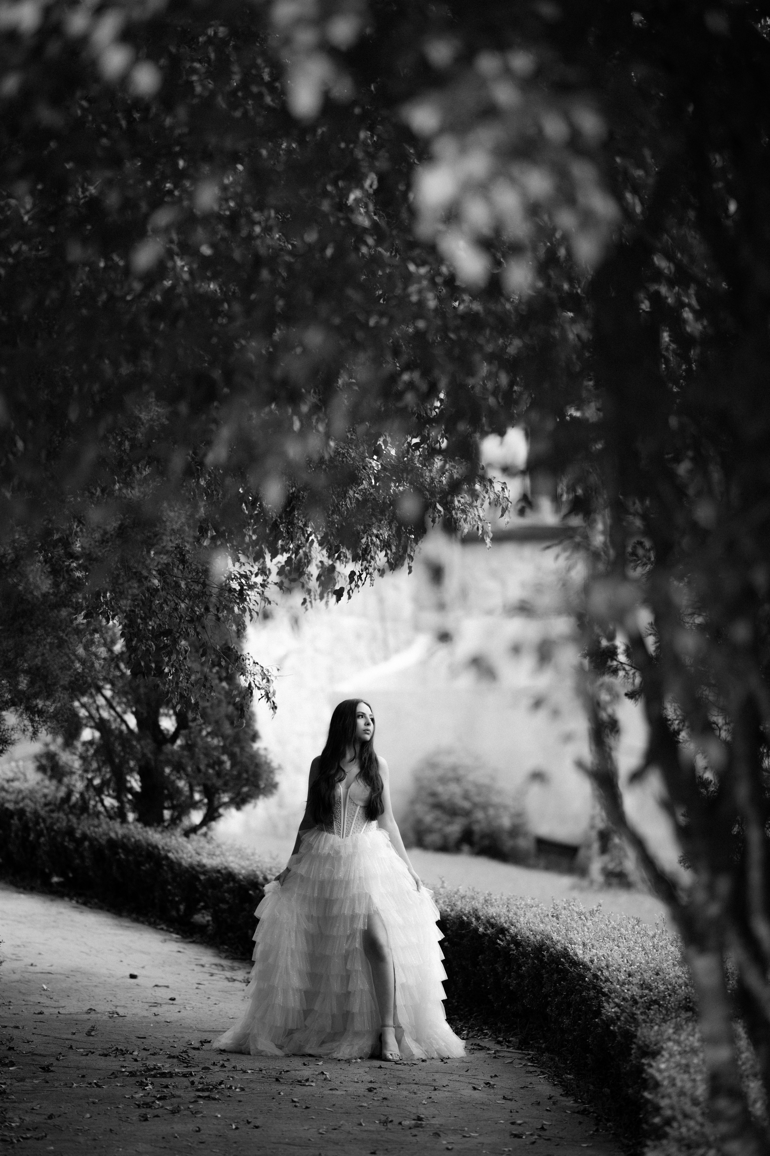 Sophia.15 Anos.Sherwood. Fotógrafo de Casamento, grávida, Retrato, Corporativo