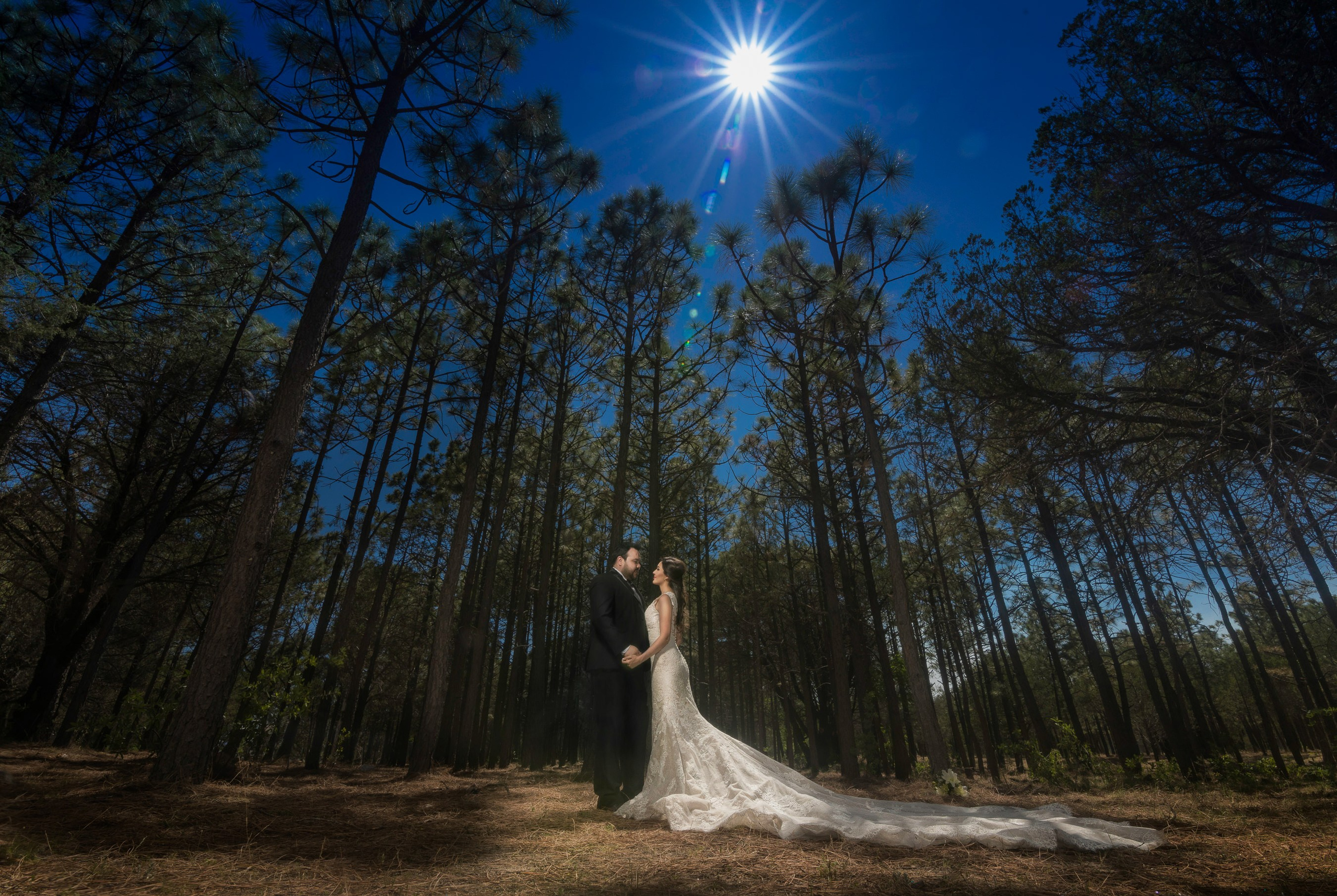 Bodas. Fotógrafo Profesional en Chihuahua, México — Alex Mendoza