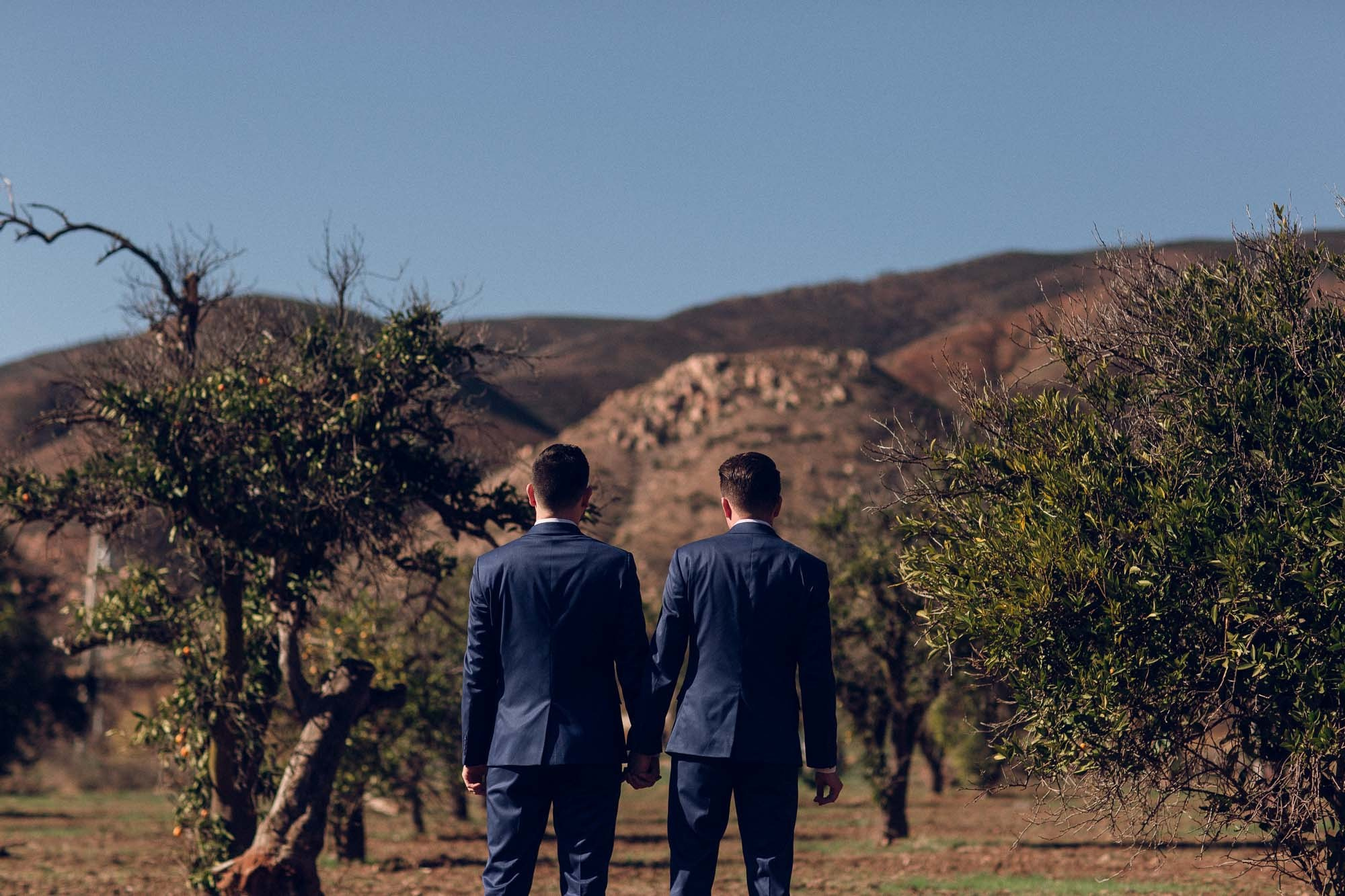 Valle de guadalupe