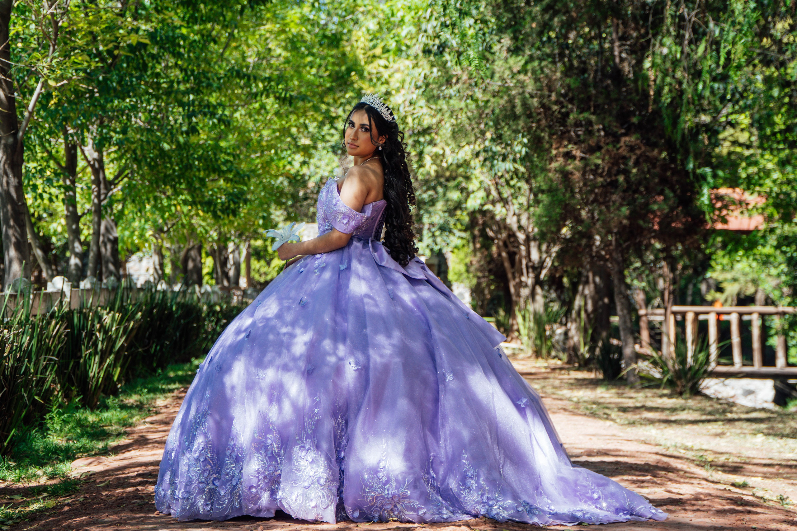 Servicios. Davice Studio