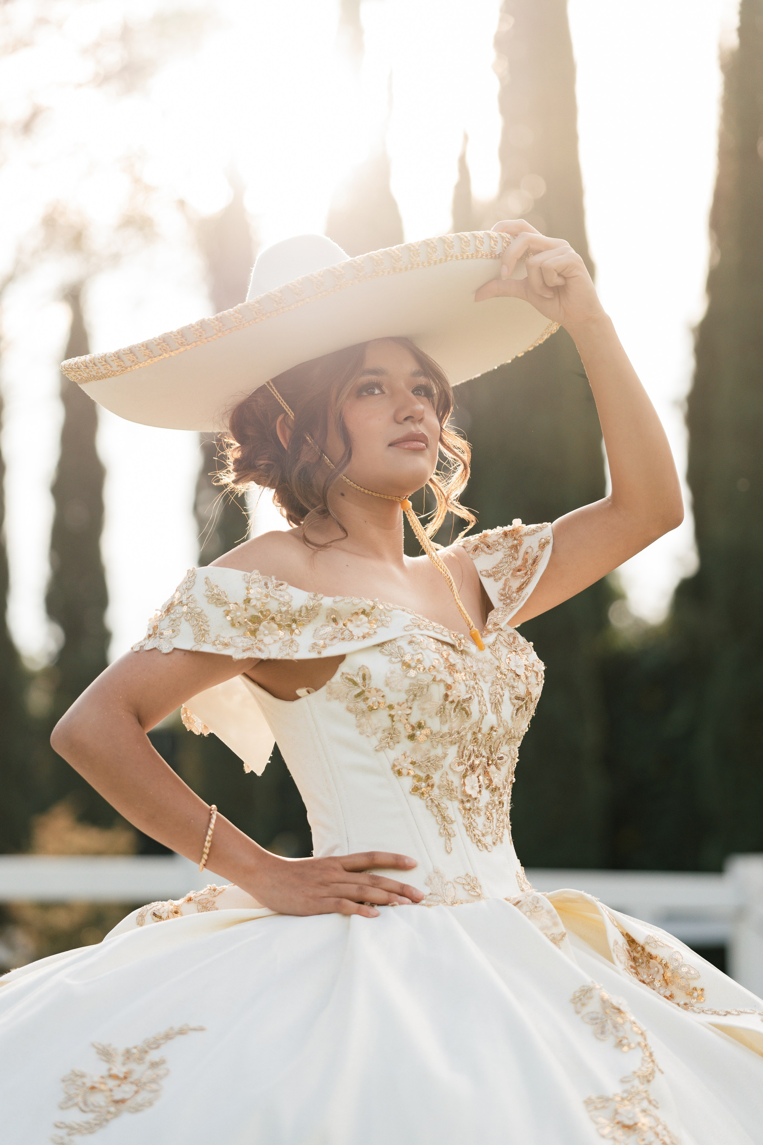 Servicios. Davice Studio