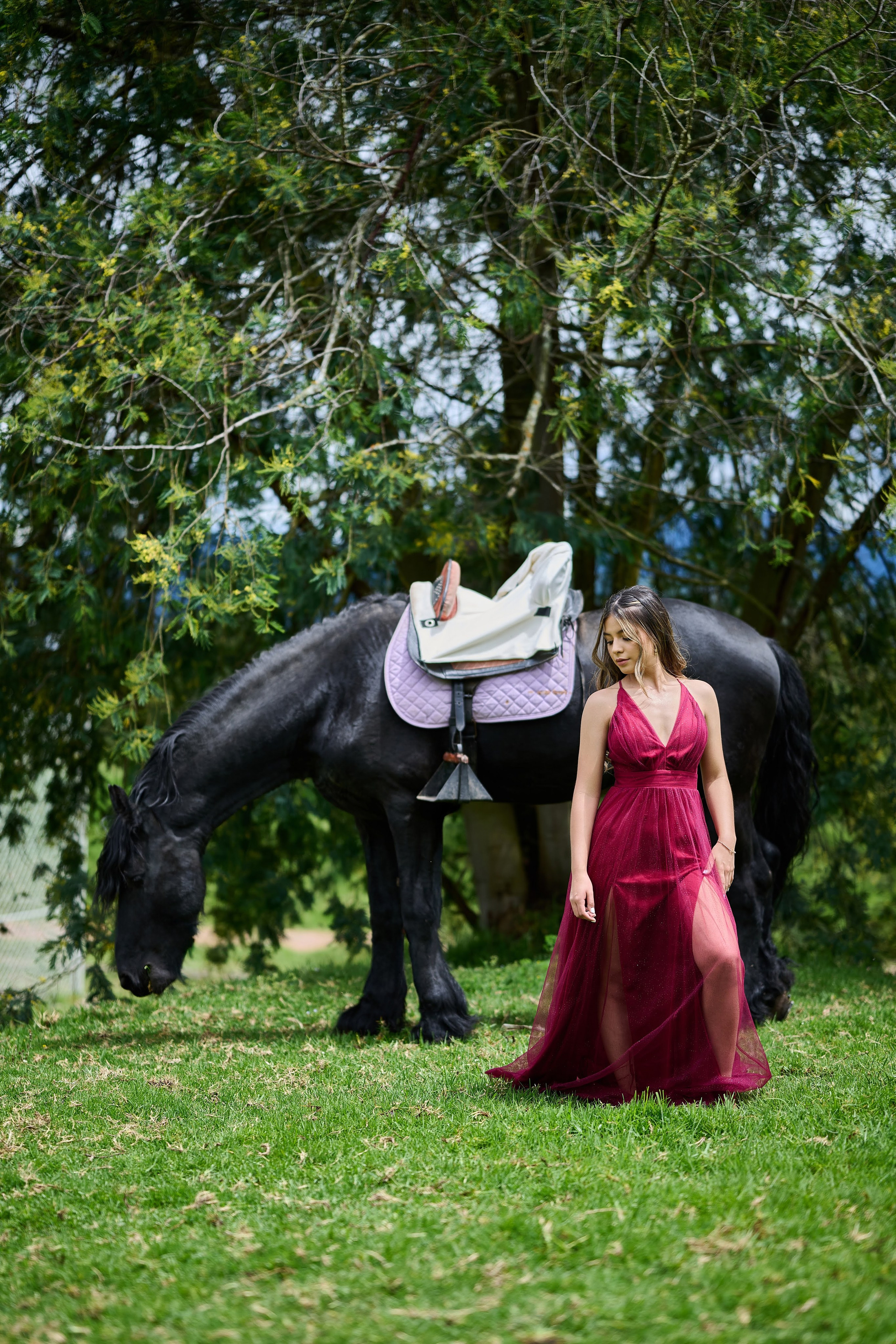 Fotos con caballos para Quiceaños. Wedding Photography & Videography by ZZ Hendrick | Capturing Your Love Story in Colombia & USA