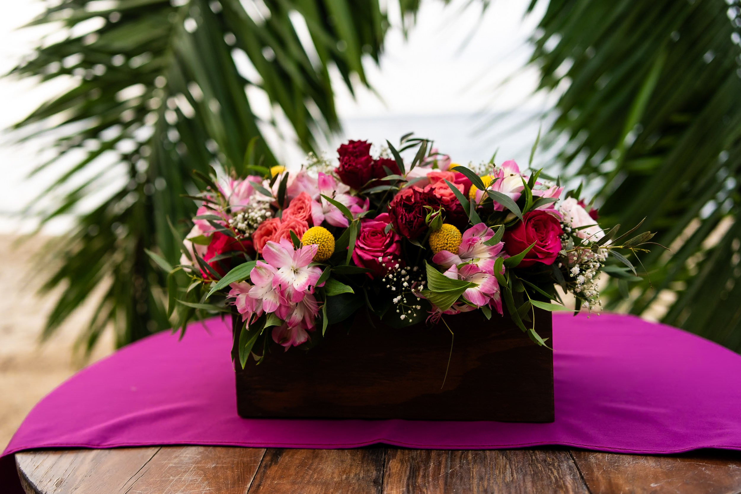 Aggie & Brian. Fotografía de Bodas Profesionales en Puerto Vallarta y Riviera Nayarit