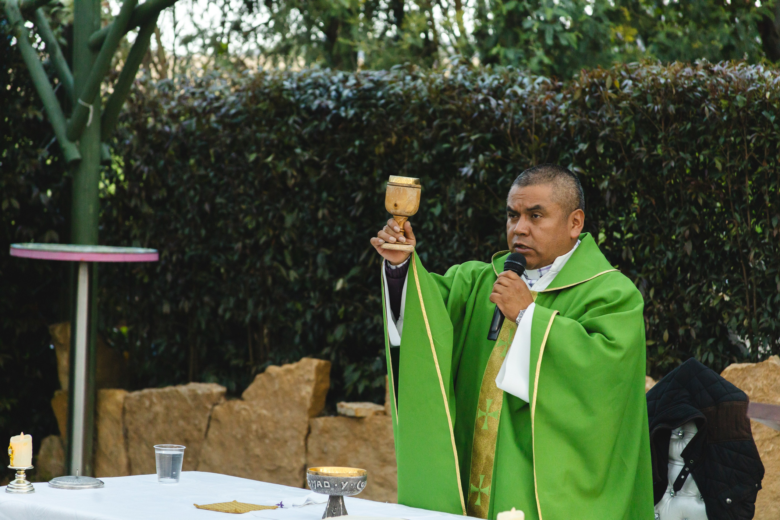 XV MELANY. FOCALMAGIC