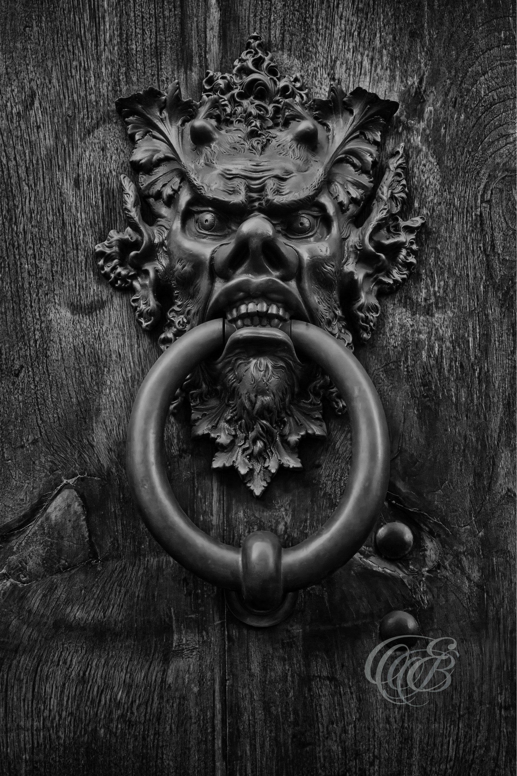 ITALY – FLORENCE — Devil Bronze Door Knocker Detail Black and White — Close-up of ornate and expressive bronze door knocker on historic Florentine entrance, showing sculptural metal craftsmanship, textured surface, and architectural detail, Florence, Italy — Eduardo Bartoli Photography.