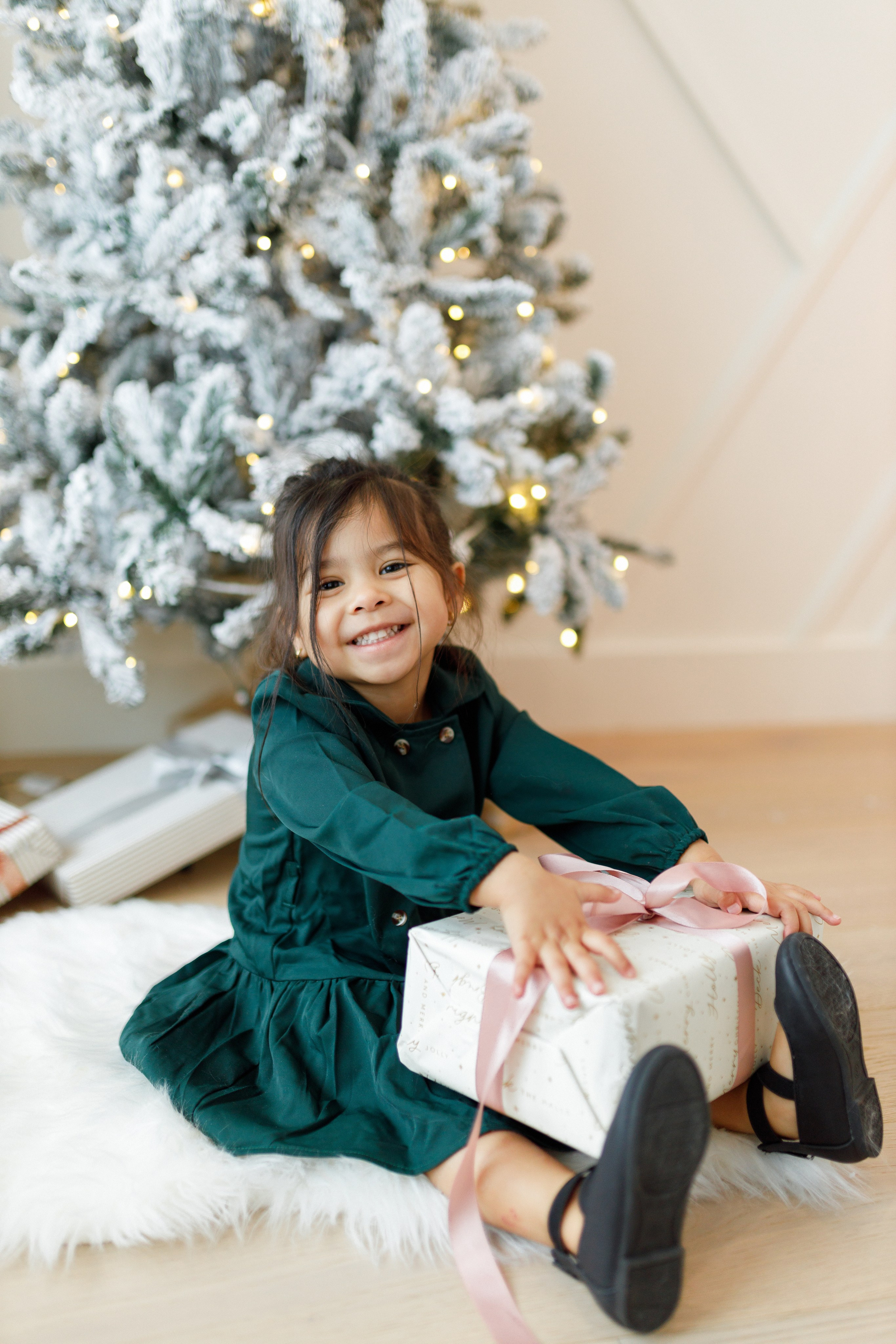 Christmas minis 2026. Photographer Elvira Hryshchenko