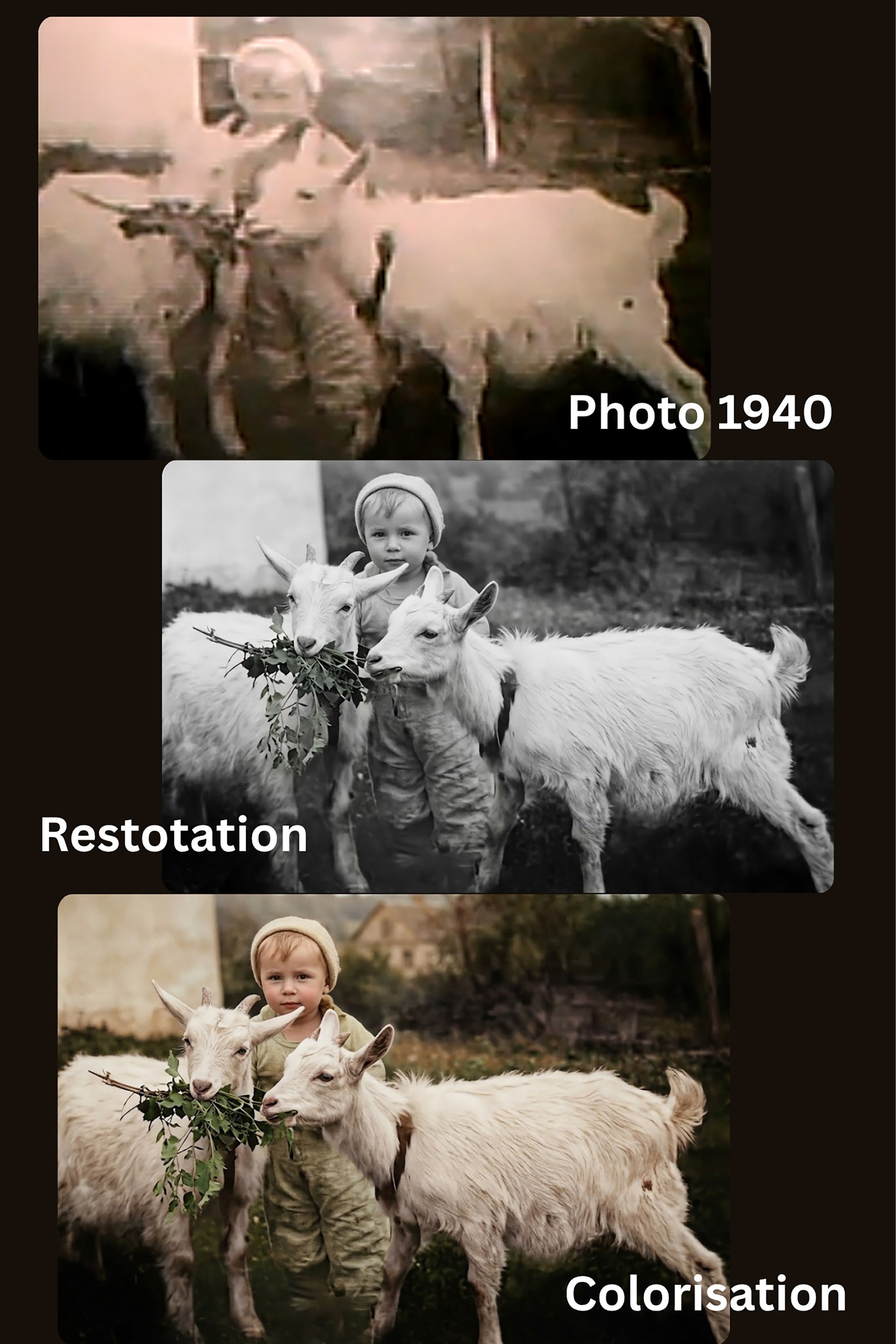 Restauration de photos. Photographe de famille à Montréal Ewa Molchanovskaya