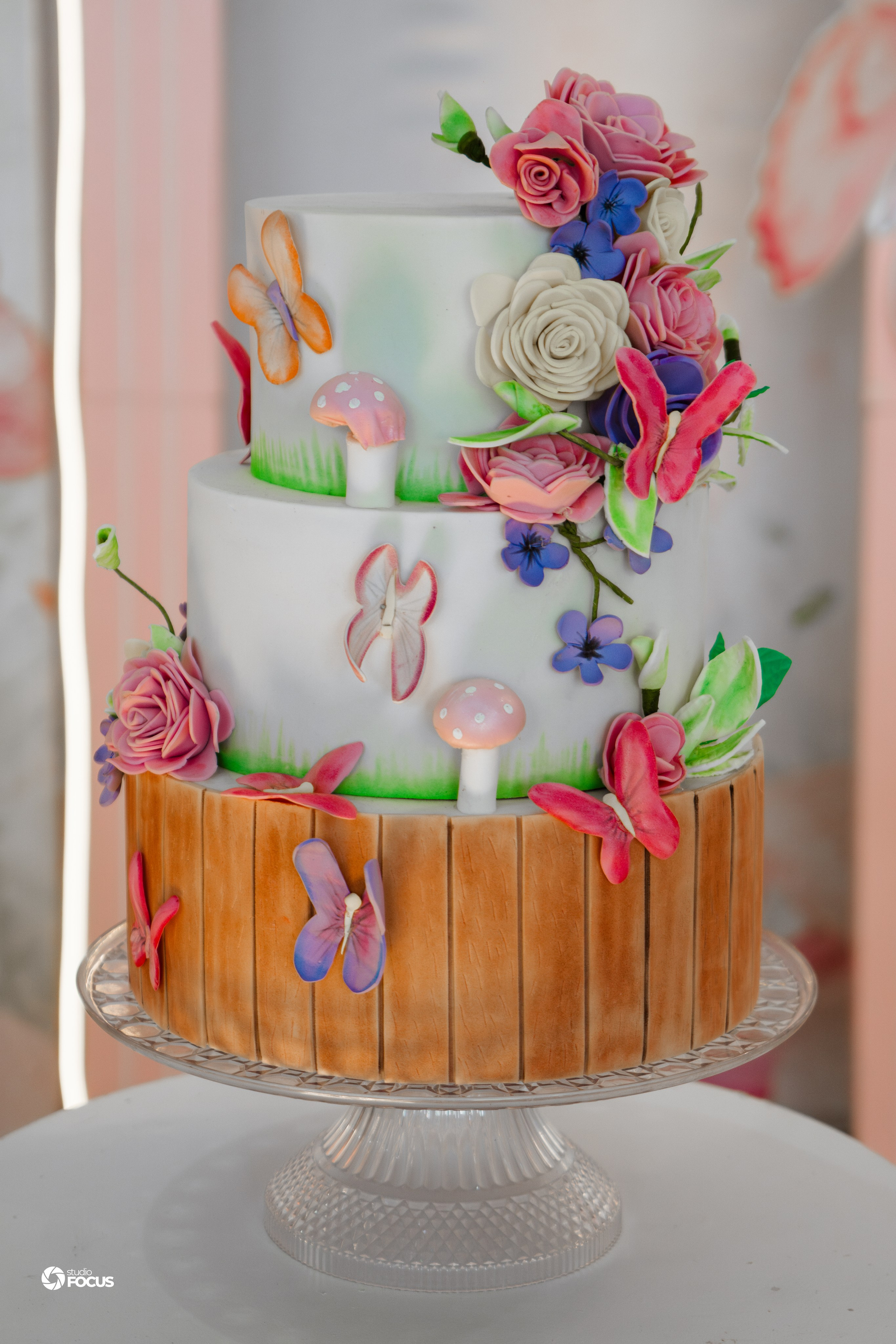 Aniversário Infantil. Studio Focus