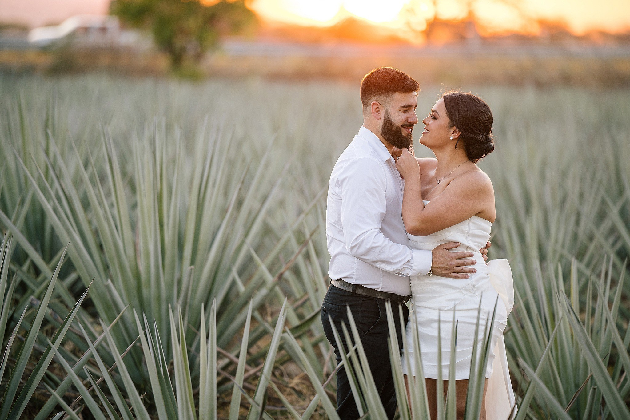 Galería Casual. Jorge Romero Fotógrafo de bodas