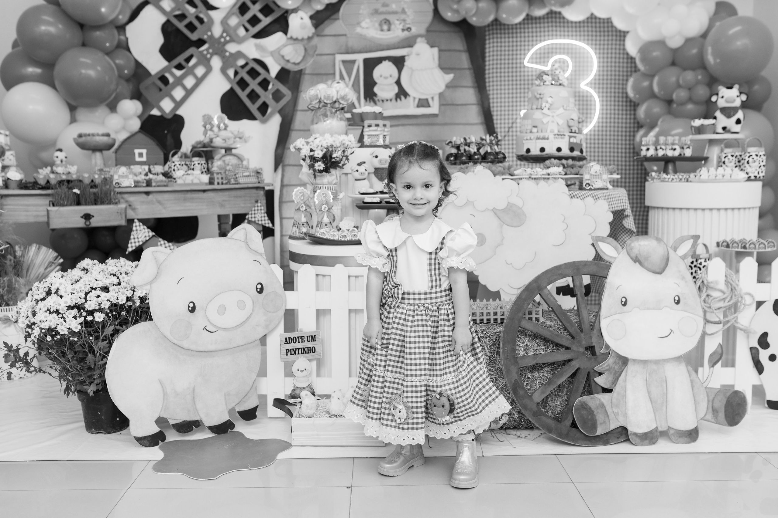 Mariana 3 anos