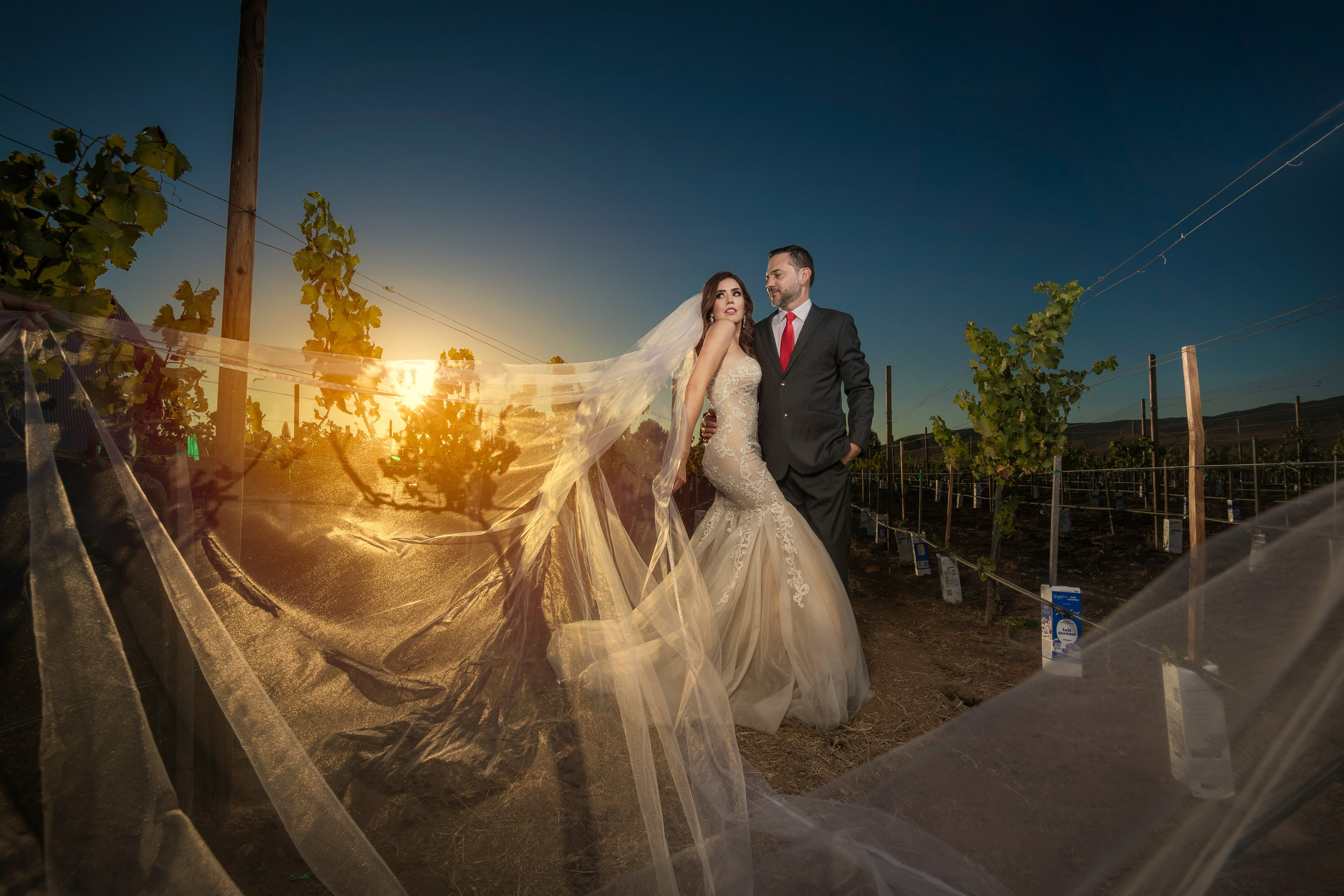 Bodas. Fotógrafo Profesional en Chihuahua, México — Alex Mendoza