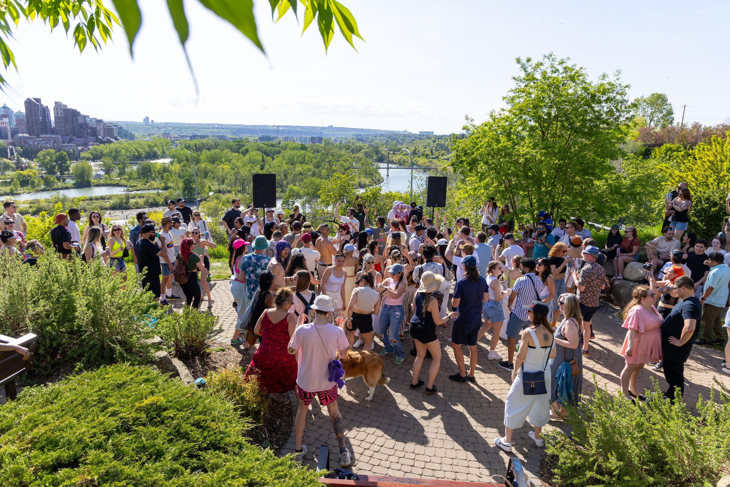 Beats in the Park — Dos Leches DJ Party at Rotary Park, Calgary. ProFly Media Inc. — Cinematic photo and video production for brands, businesses, and spaces in Calgary