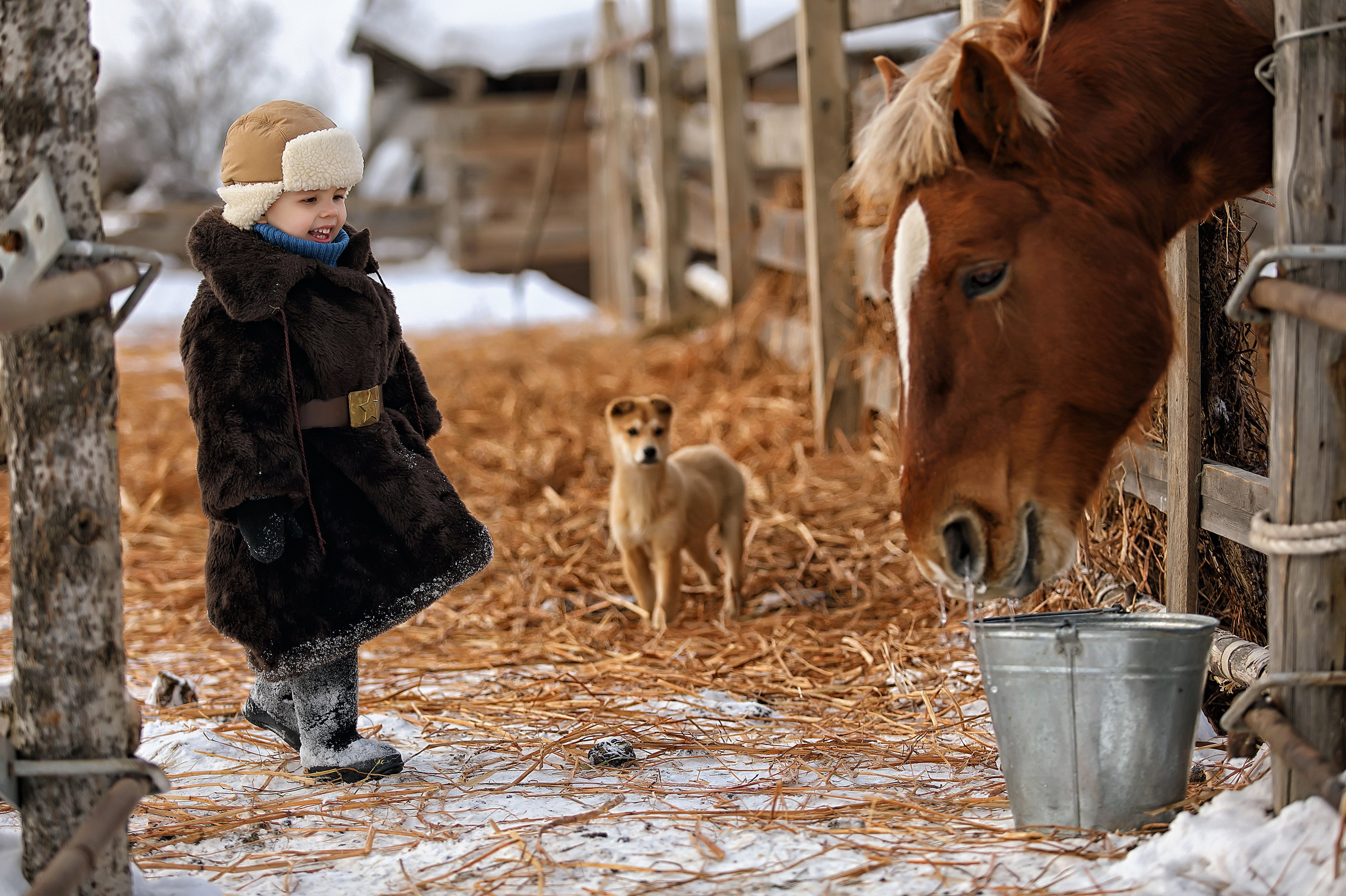 Братья. Татьяна Колчанова | Профессиональный фотограф в Новокузнецке