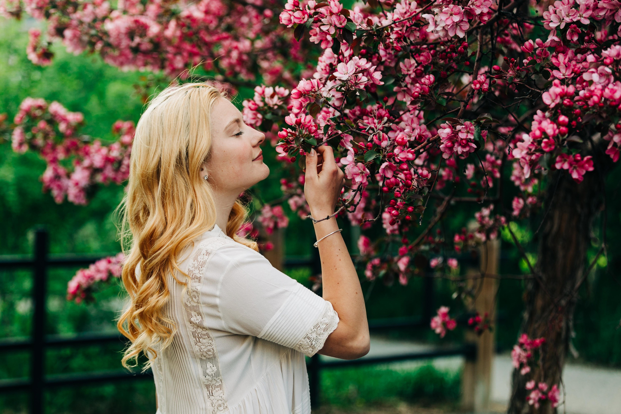 Cherry Blossom — Leann. Ching Li Photography