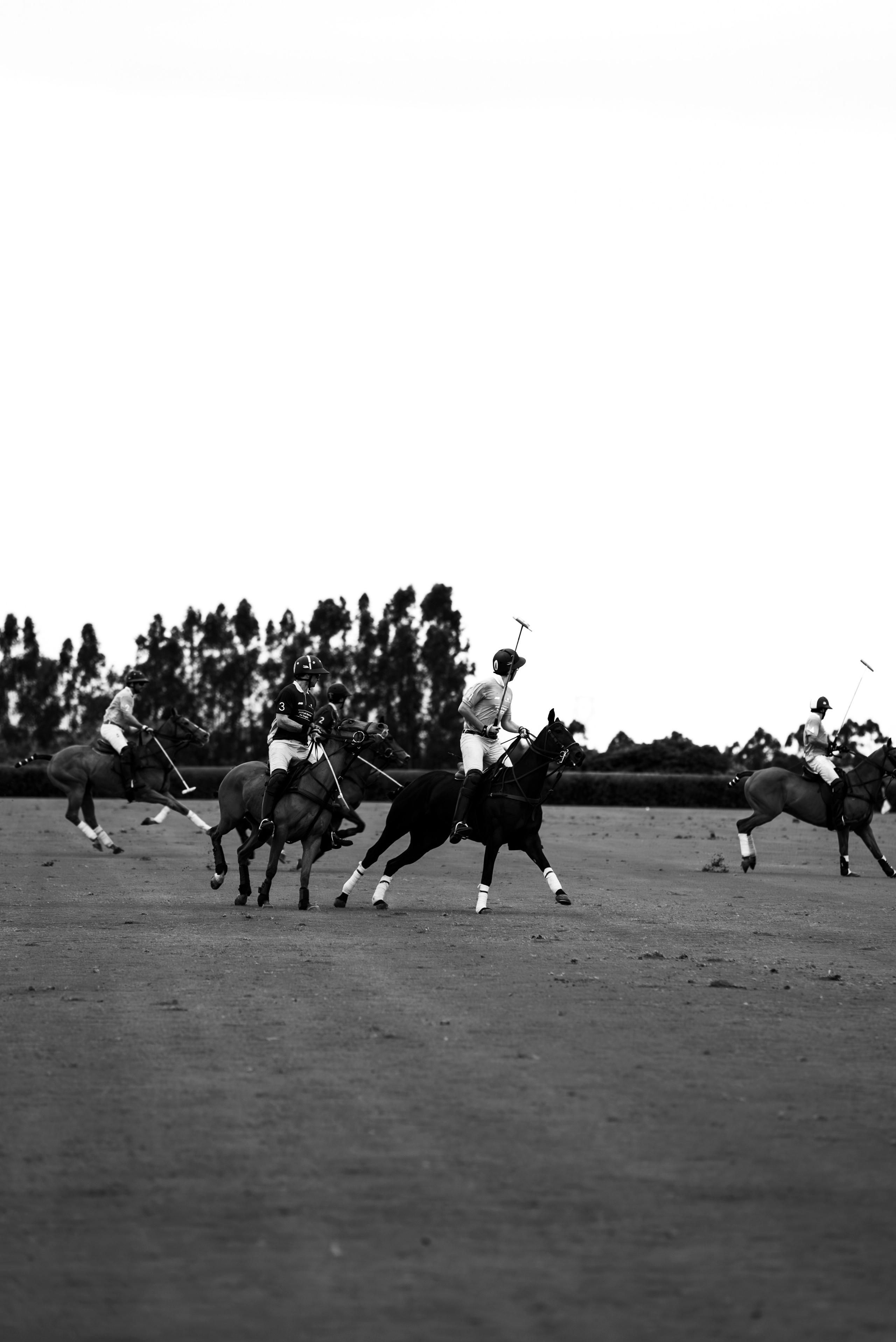 Fotografia. Gustavo Visotto