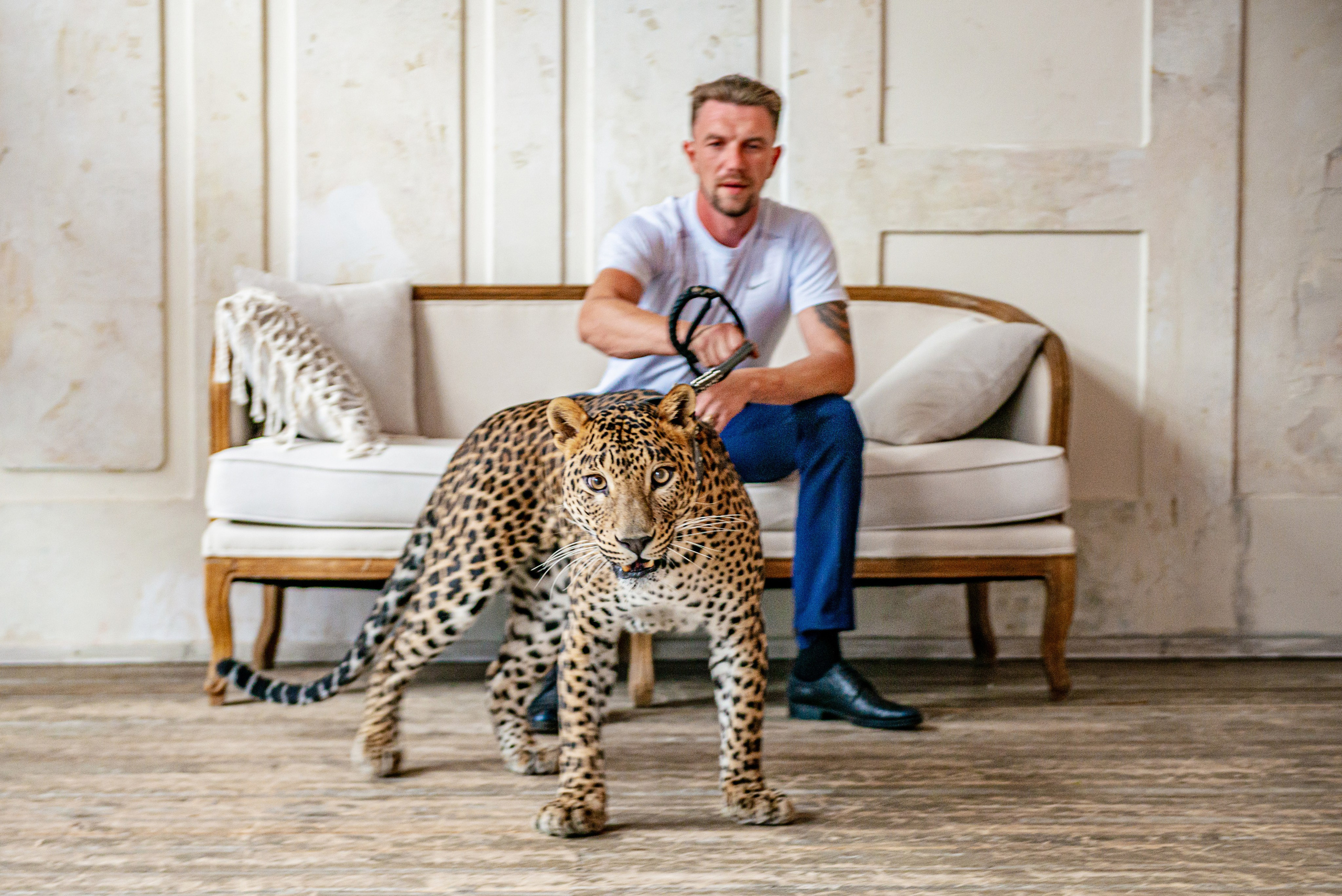 Photosession in the studio with a leopard. PHOTOGRAPHER QUINTANA ROO