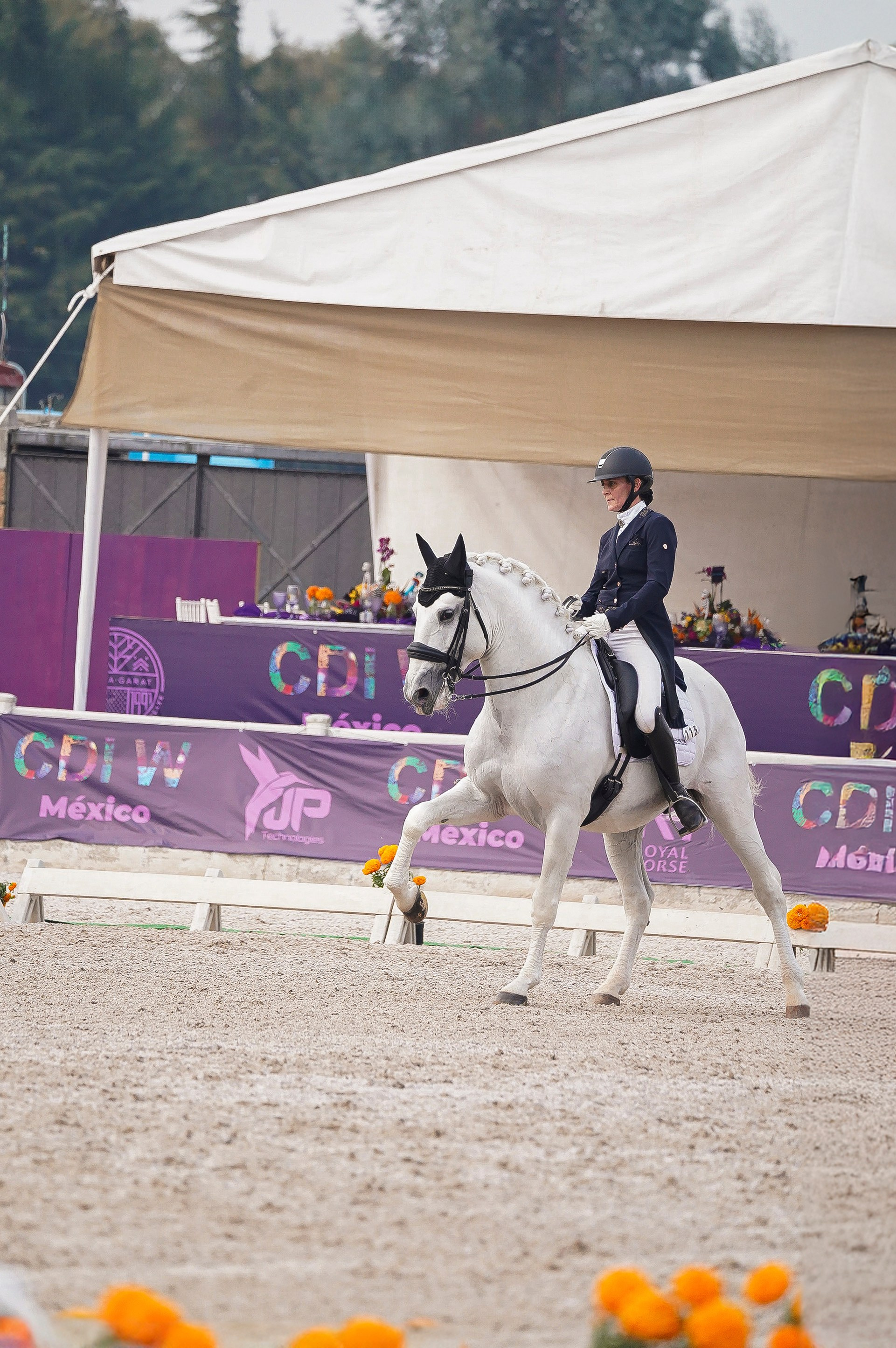 Vacation photoshoot in Mexico City. Capture your trip with a professional photographer. Horse riding dressage doma clasica show jumping Tour. Ekaterina Frolova photography