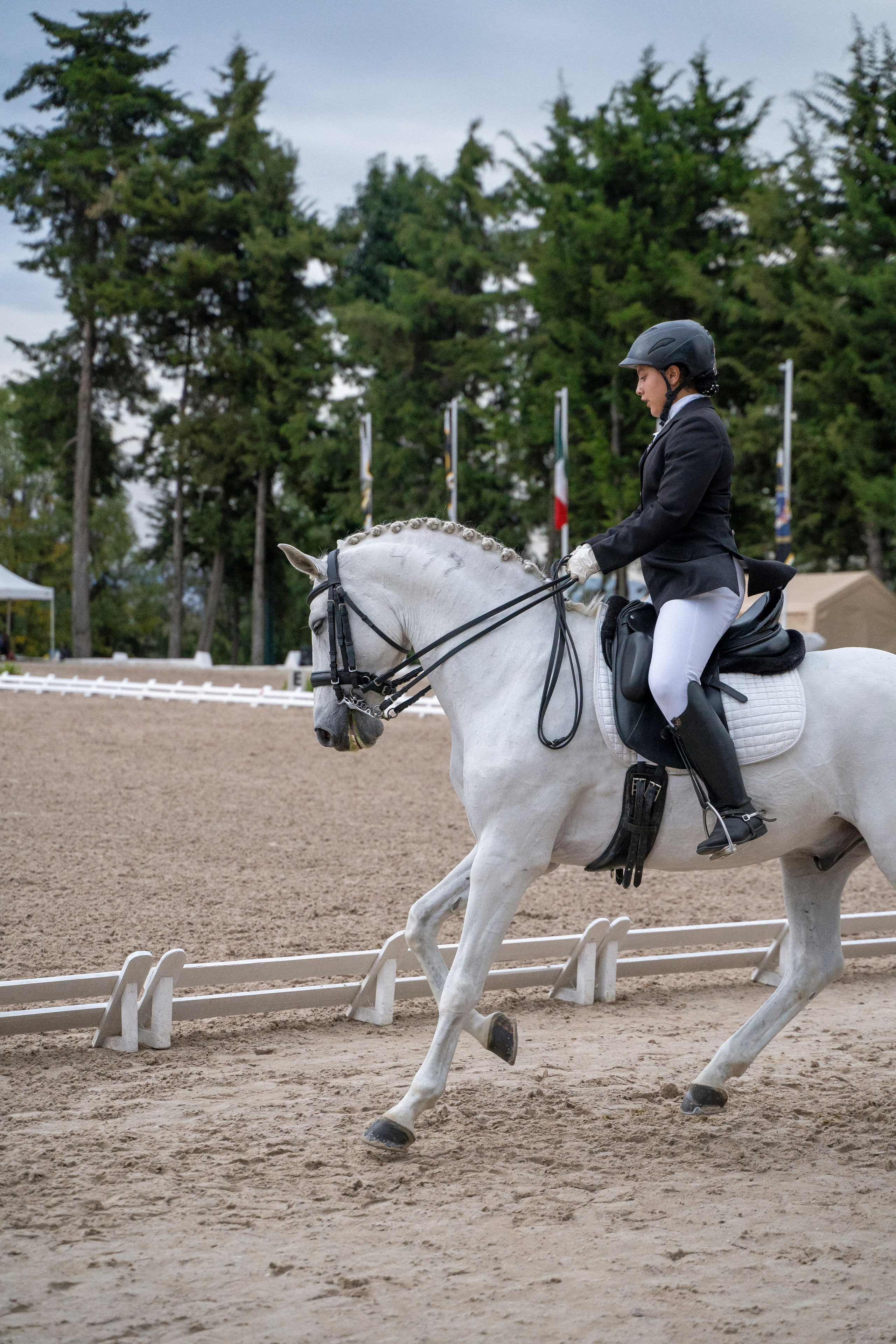 Vacation photoshoot in Mexico City. Capture your trip with a professional photographer. Horse riding dressage doma clasica show jumping Tour. Ekaterina Frolova photography