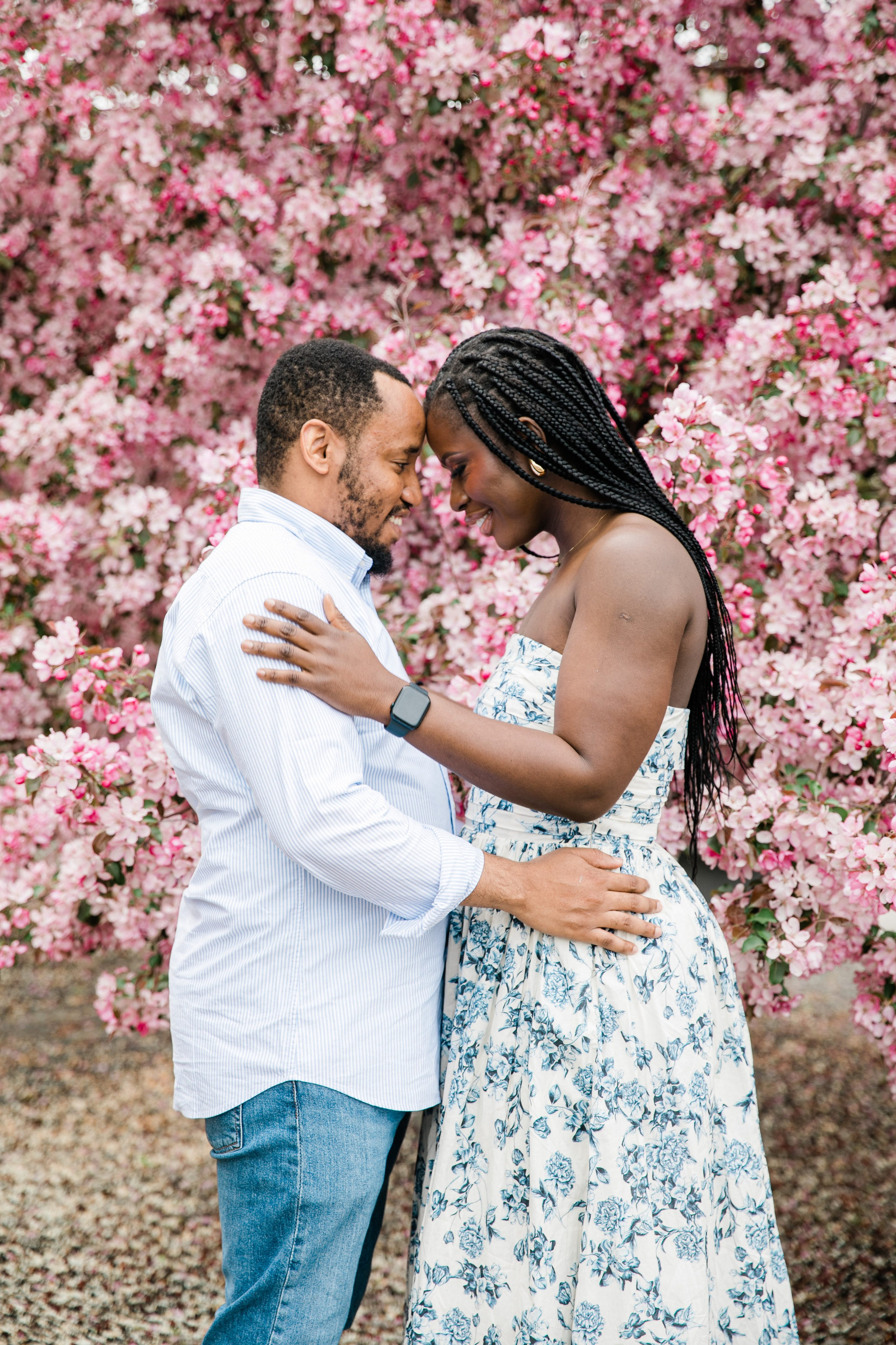 Ester — Cherry Blossom Family Photos. Fotografía accesible en Calgary
