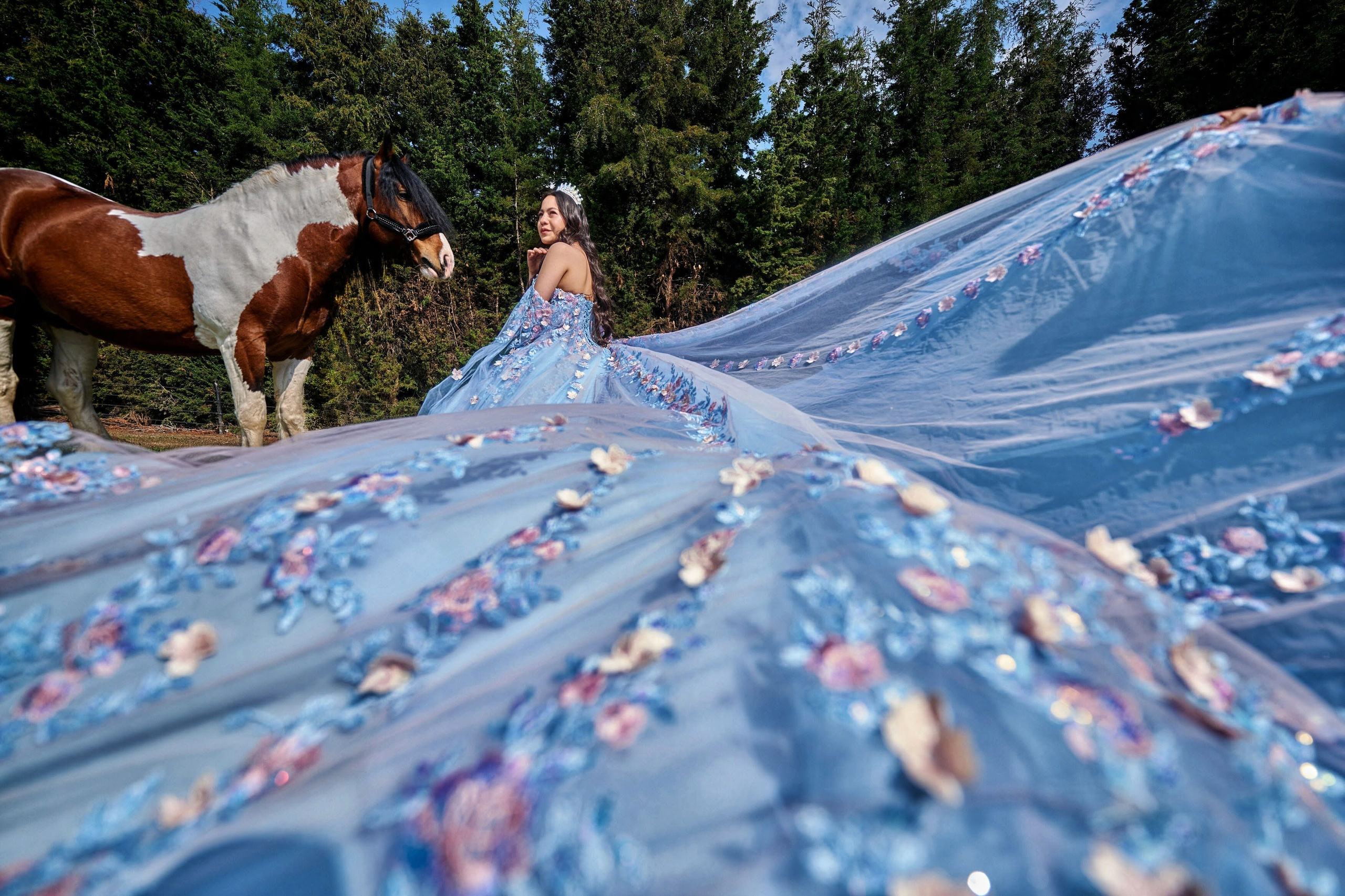 Fotos con caballos para Quiceaños. Wedding Photography & Videography by ZZ Hendrick | Capturing Your Love Story in Colombia & USA