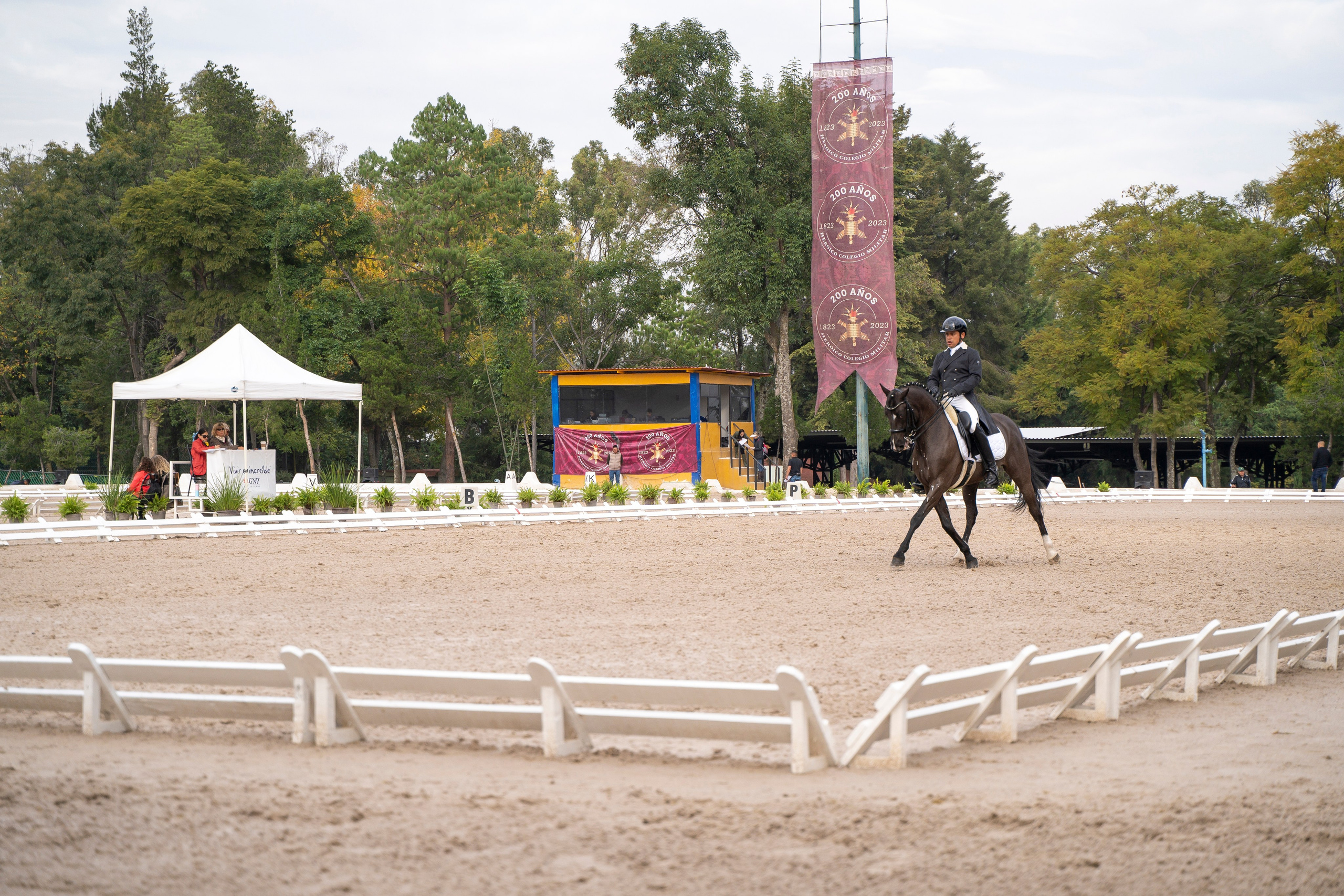 Vacation photoshoot in Mexico City. Capture your trip with a professional photographer. Horse riding dressage doma clasica show jumping Tour. Ekaterina Frolova photography