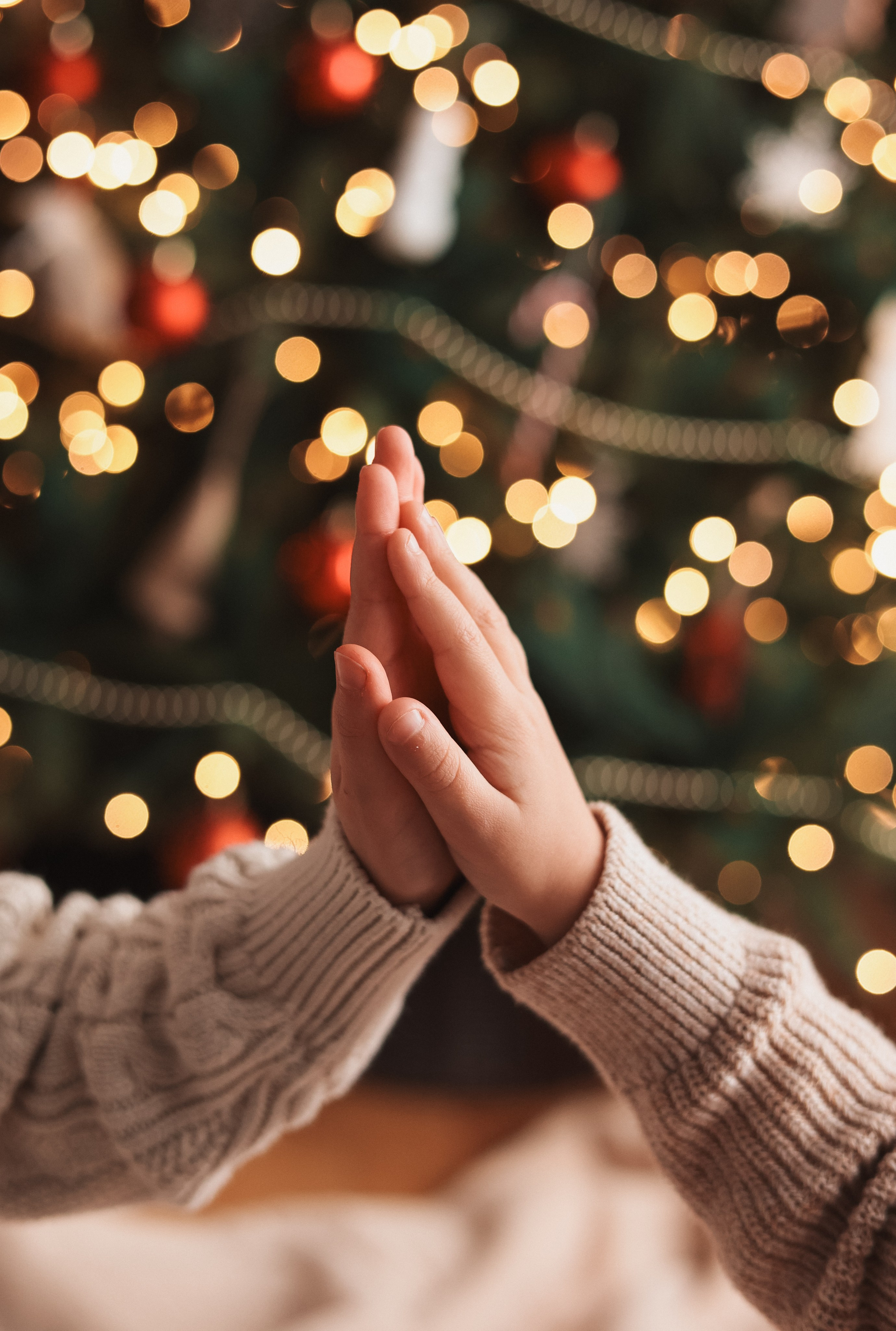 Christmas 2025. Eugenia Guryev Photography | Portrait & Family Photographer in Moncton, New Brunswick