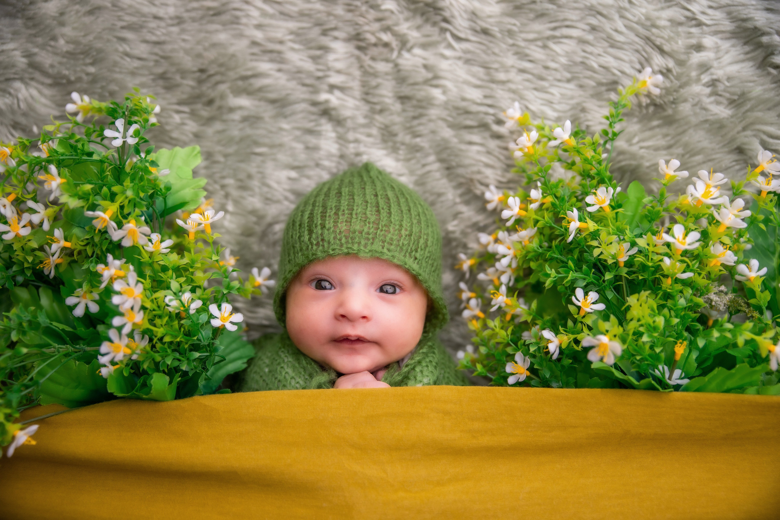 Newborns. Lifestyle and Family Photographer Faryal Saeed