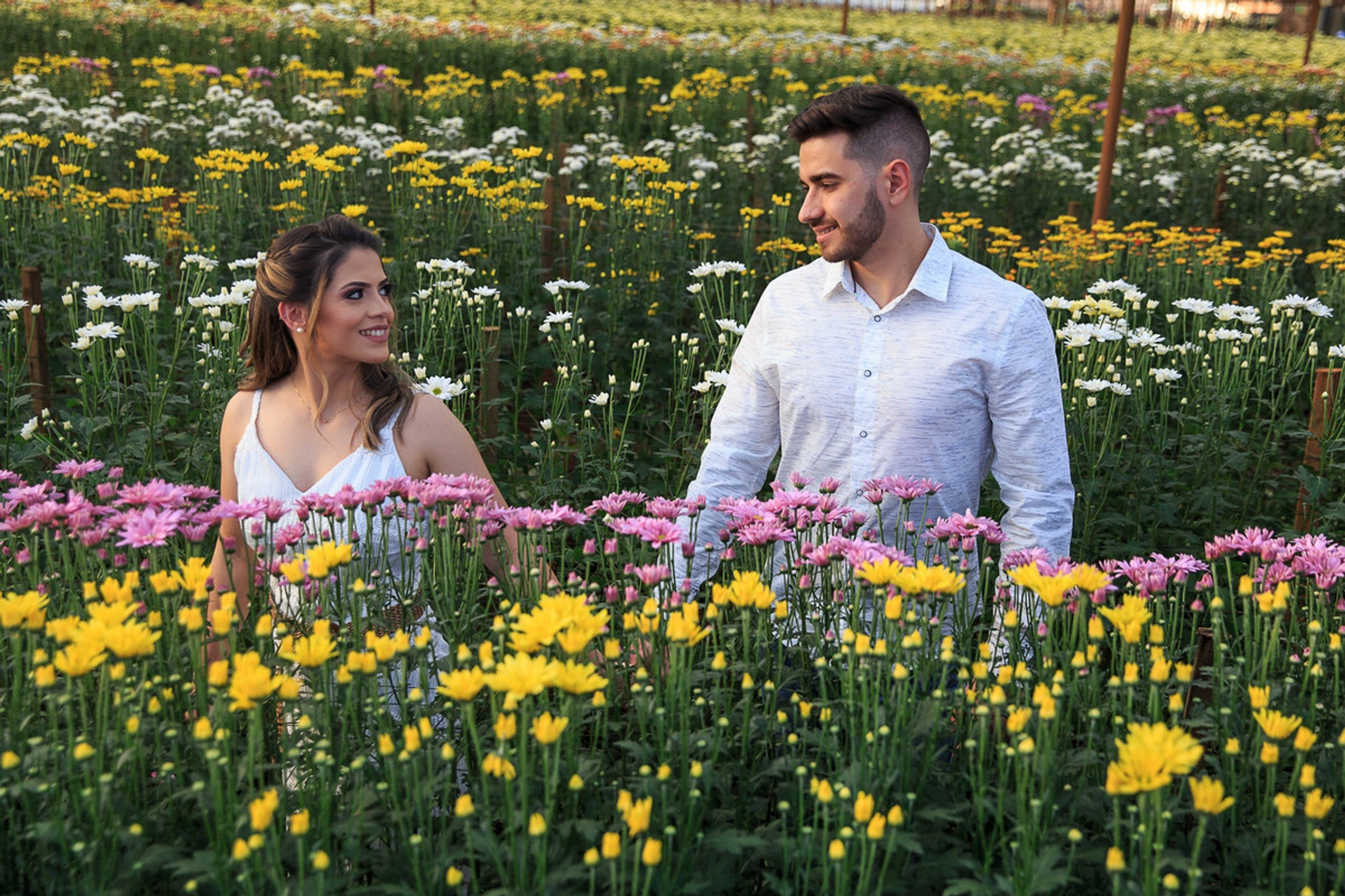 Ensaio pré-wedding em Holambra com Juliana e Sílvio — Studio Melk Fotografia