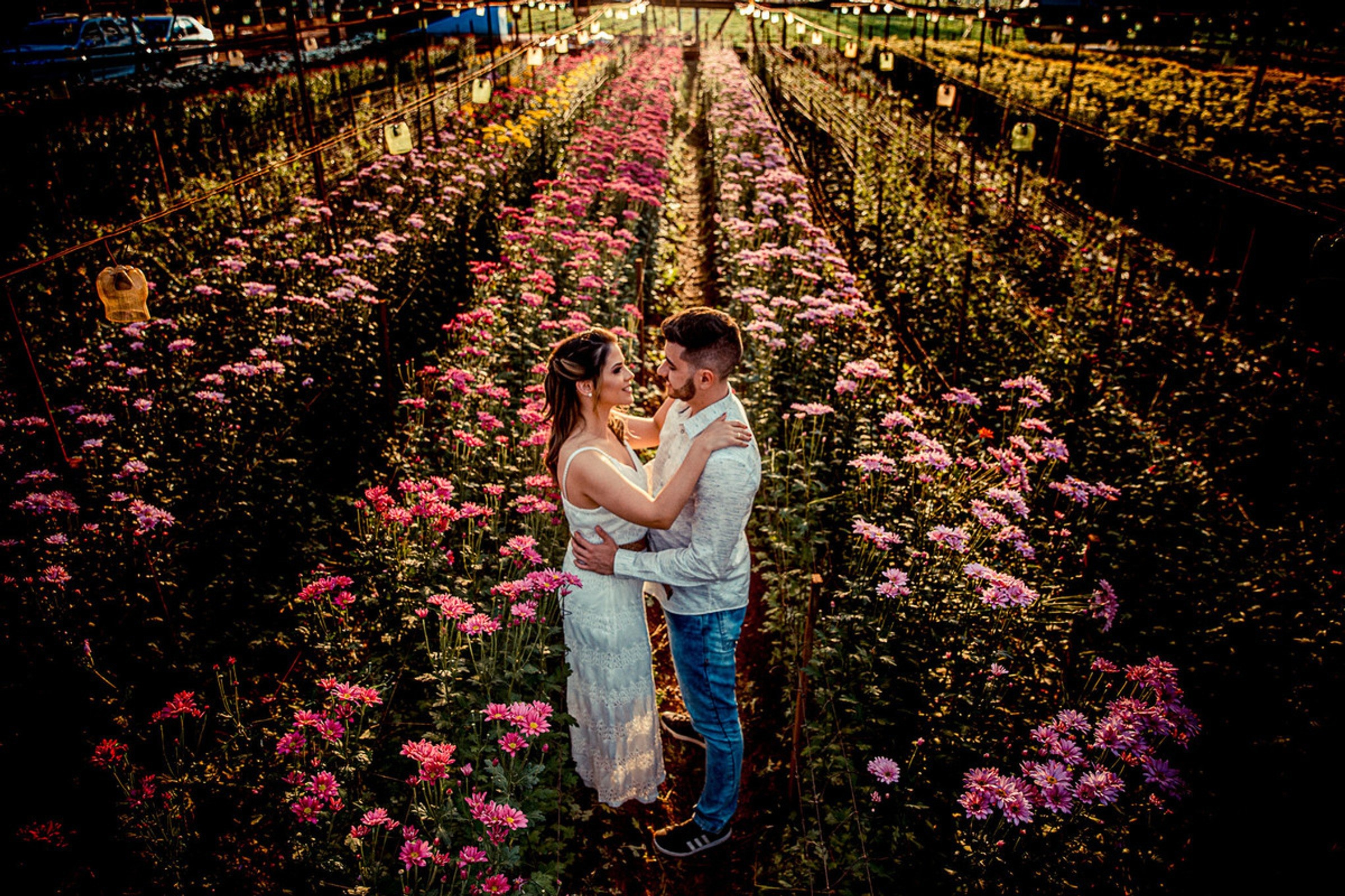 Ensaio Pré-Wedding em Holambra — Juliana e Sílvio | Studio Melk Fotografia