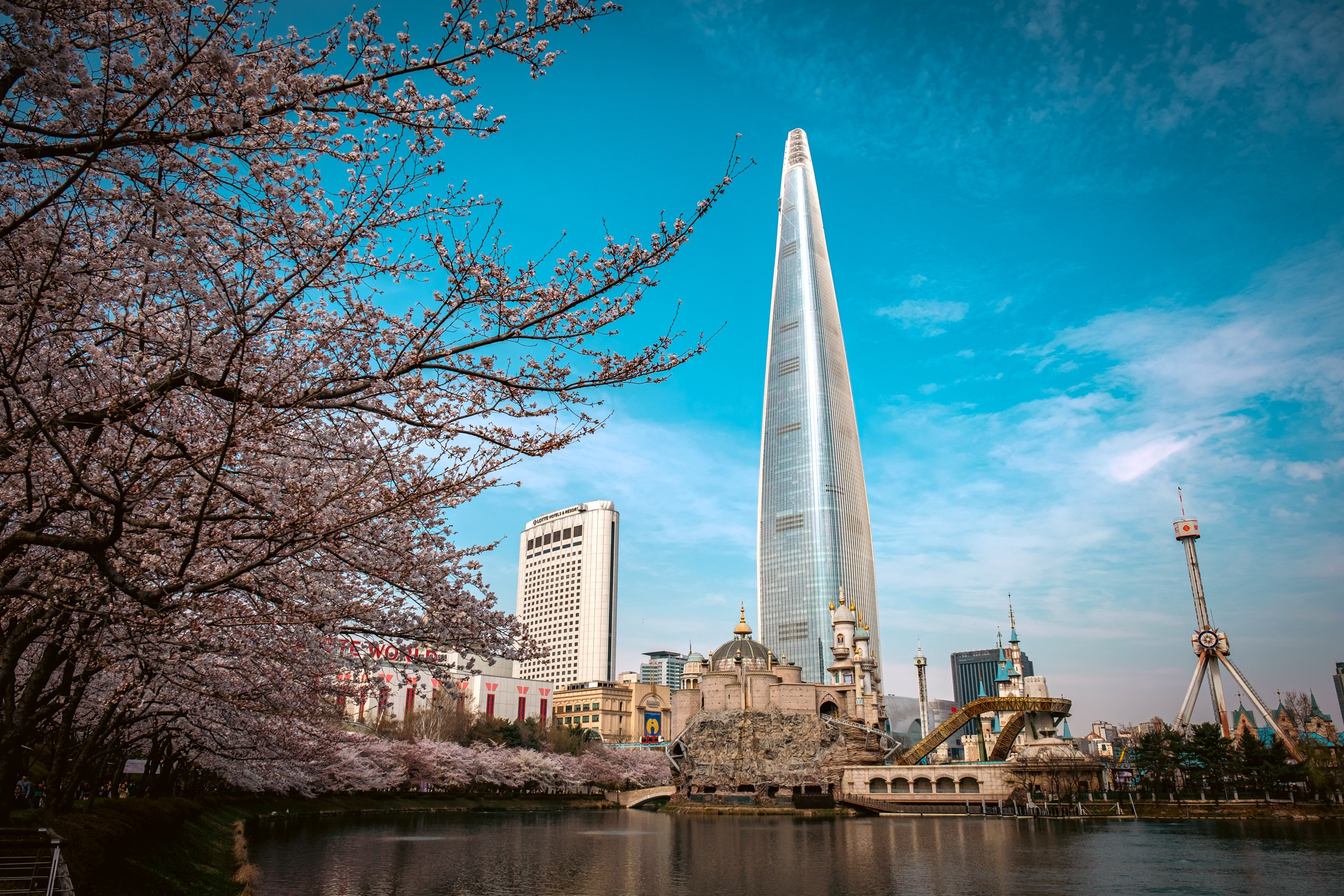 Seoul: cherry blossom. Фотограф в Сеуле, Южная Корея Наталья Доброквашина