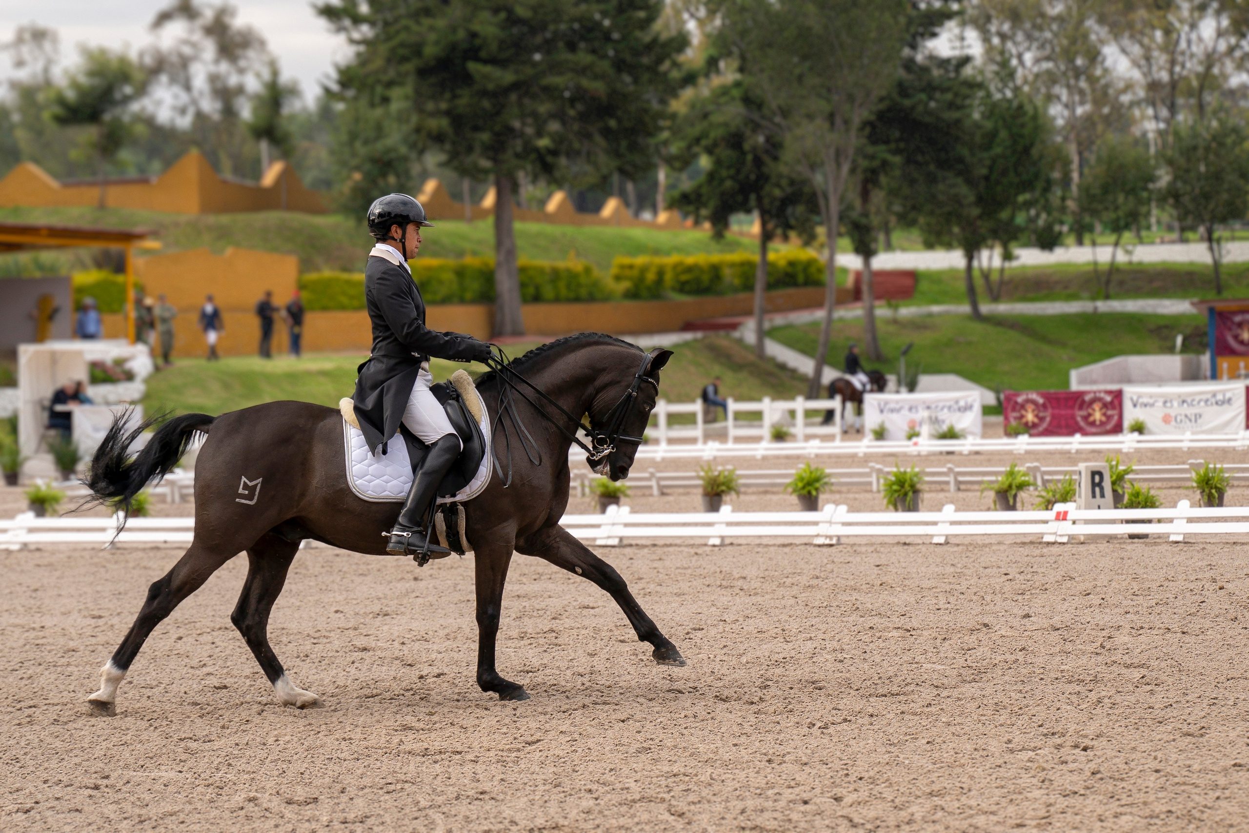 Vacation photoshoot in Mexico City. Capture your trip with a professional photographer. Horse riding dressage doma clasica show jumping Tour. Ekaterina Frolova photography