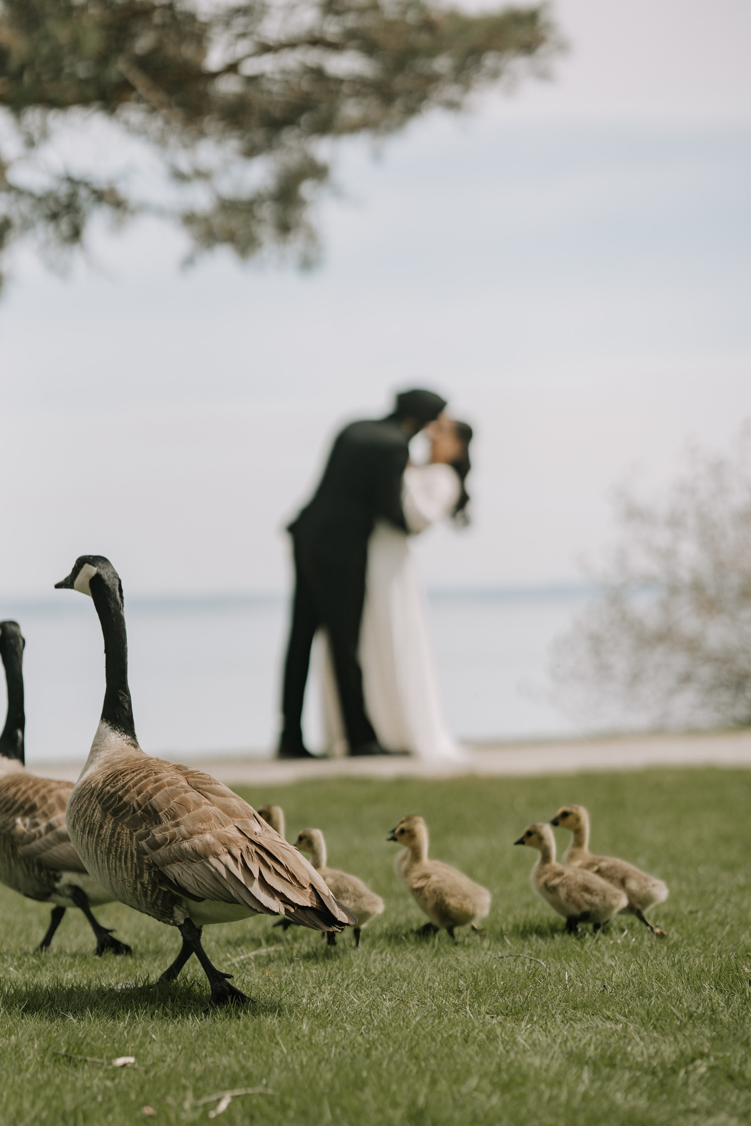 Wedding Photography & Films Studio