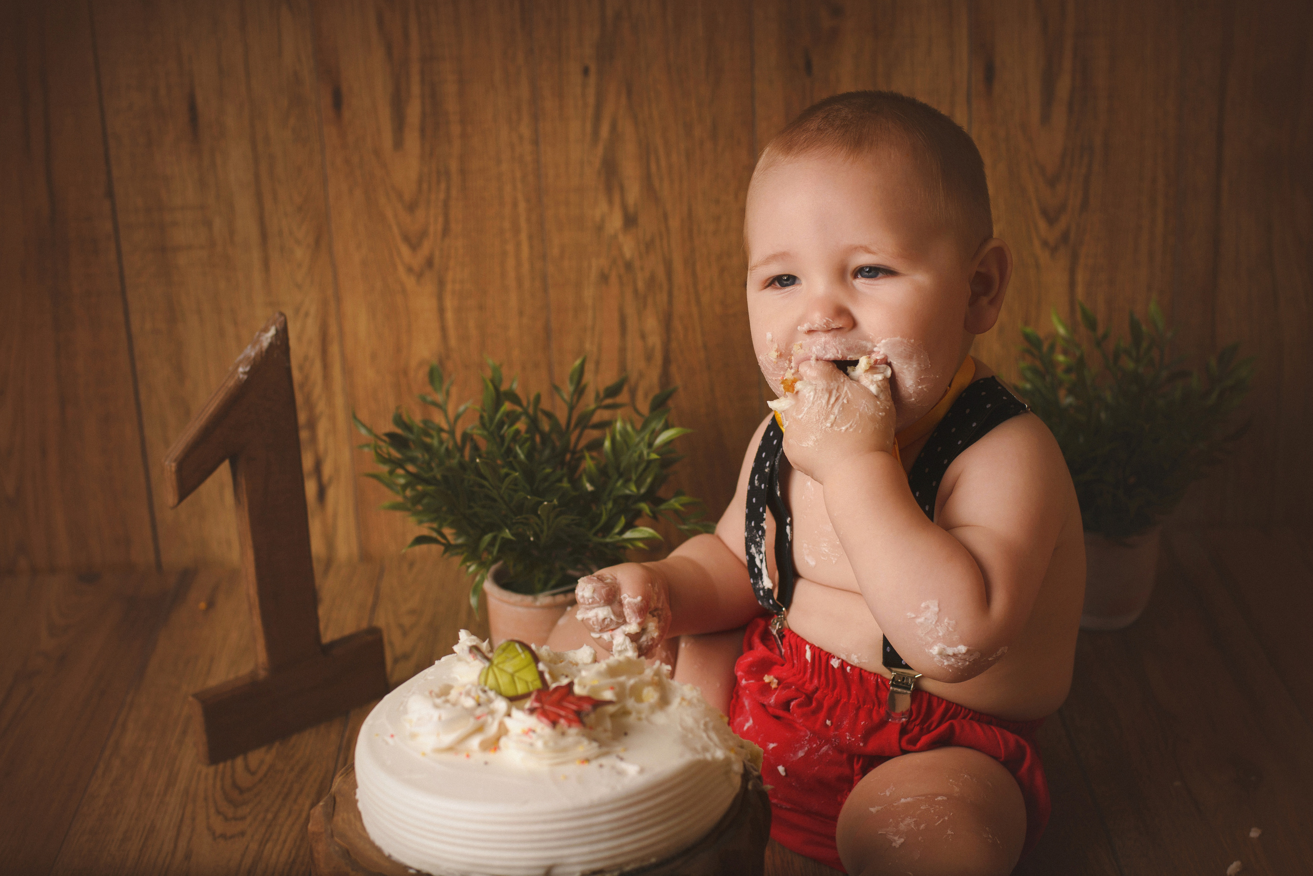 My First Year Package. A Boy. Ottawa Newborn and Baby Newborn Photographer Elena Helali