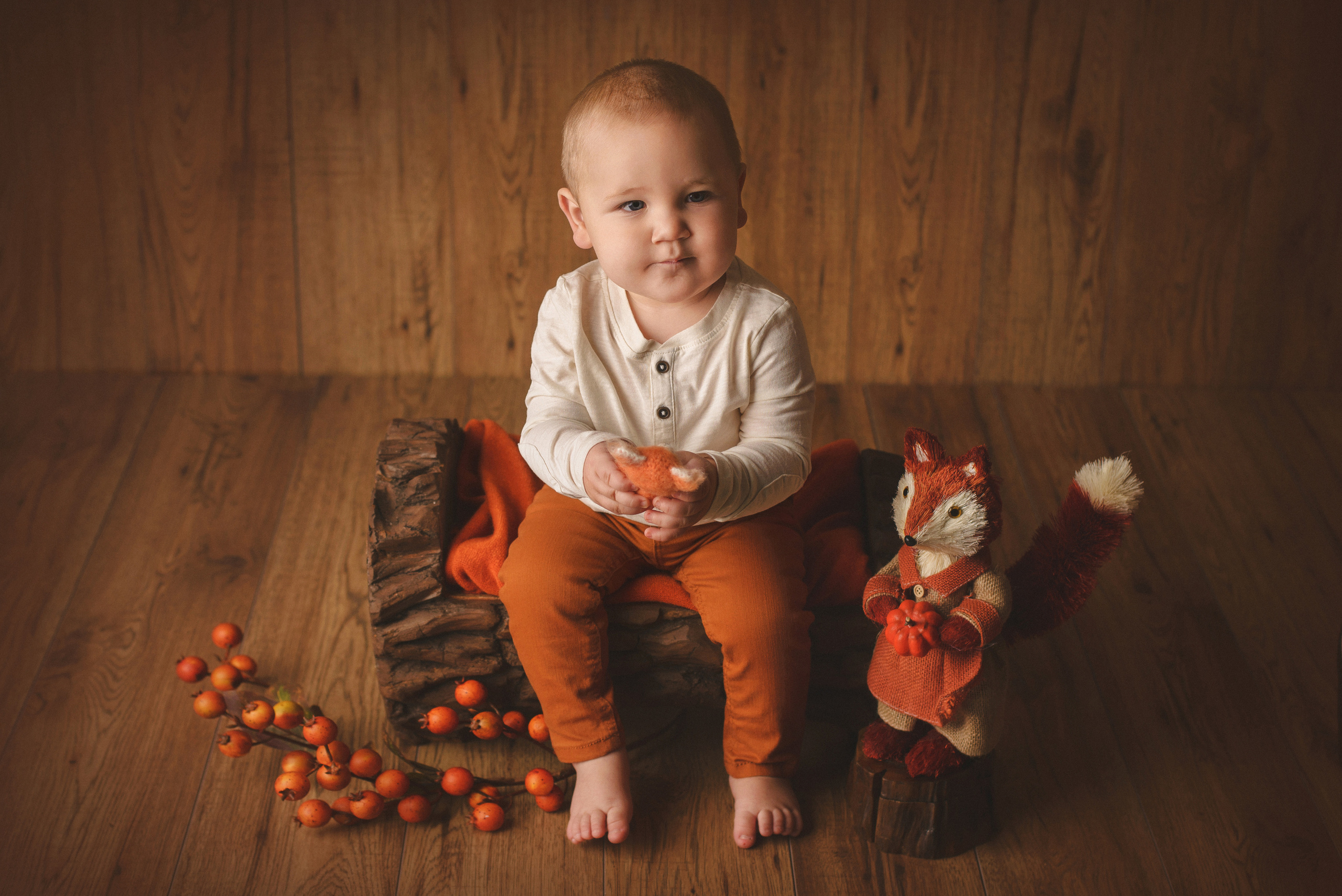 My First Year Package. A Boy. Ottawa Newborn and Baby Newborn Photographer Elena Helali